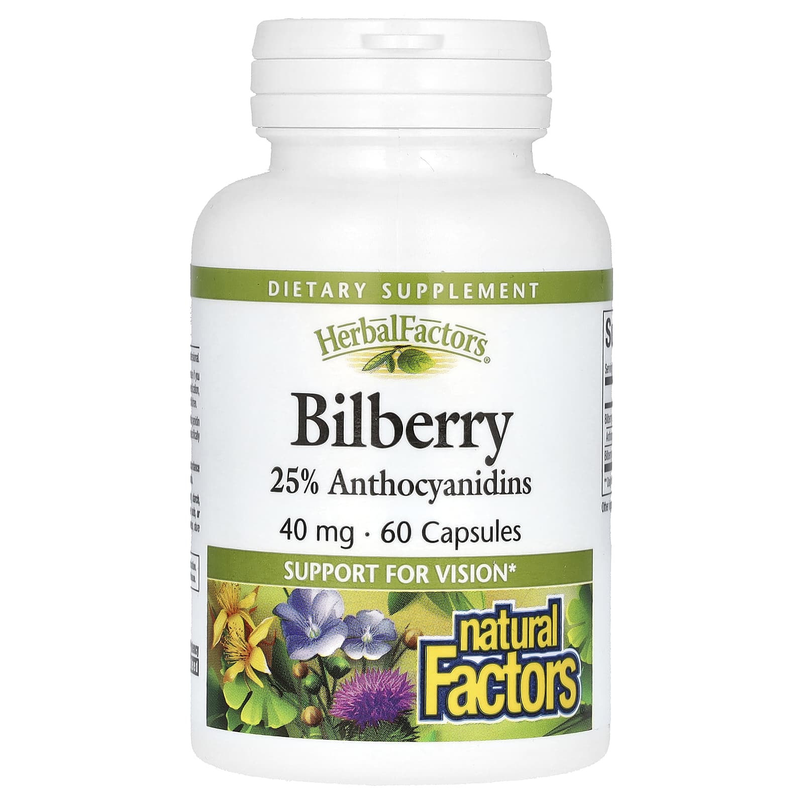 Natural Factors, Bilberry, 40 mg, 60 Capsules - Image 1