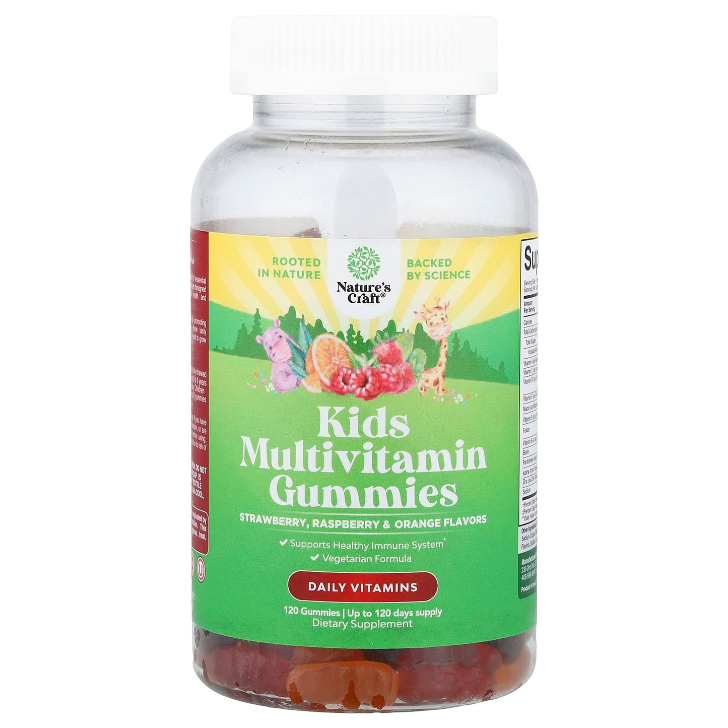 Nature's Craft, Kids Multivitamin Gummies, Strawberry, Raspberry & Orange, 120 Gummies - Image 1
