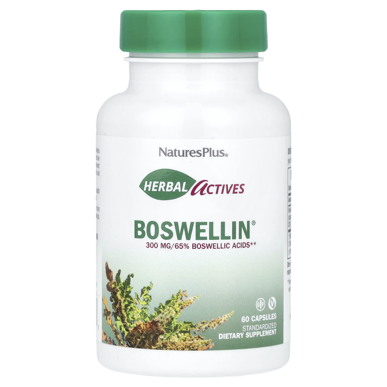 NaturesPlus, Herbal Actives, Boswellin®, 300 mg, 60 Capsules - Image 1