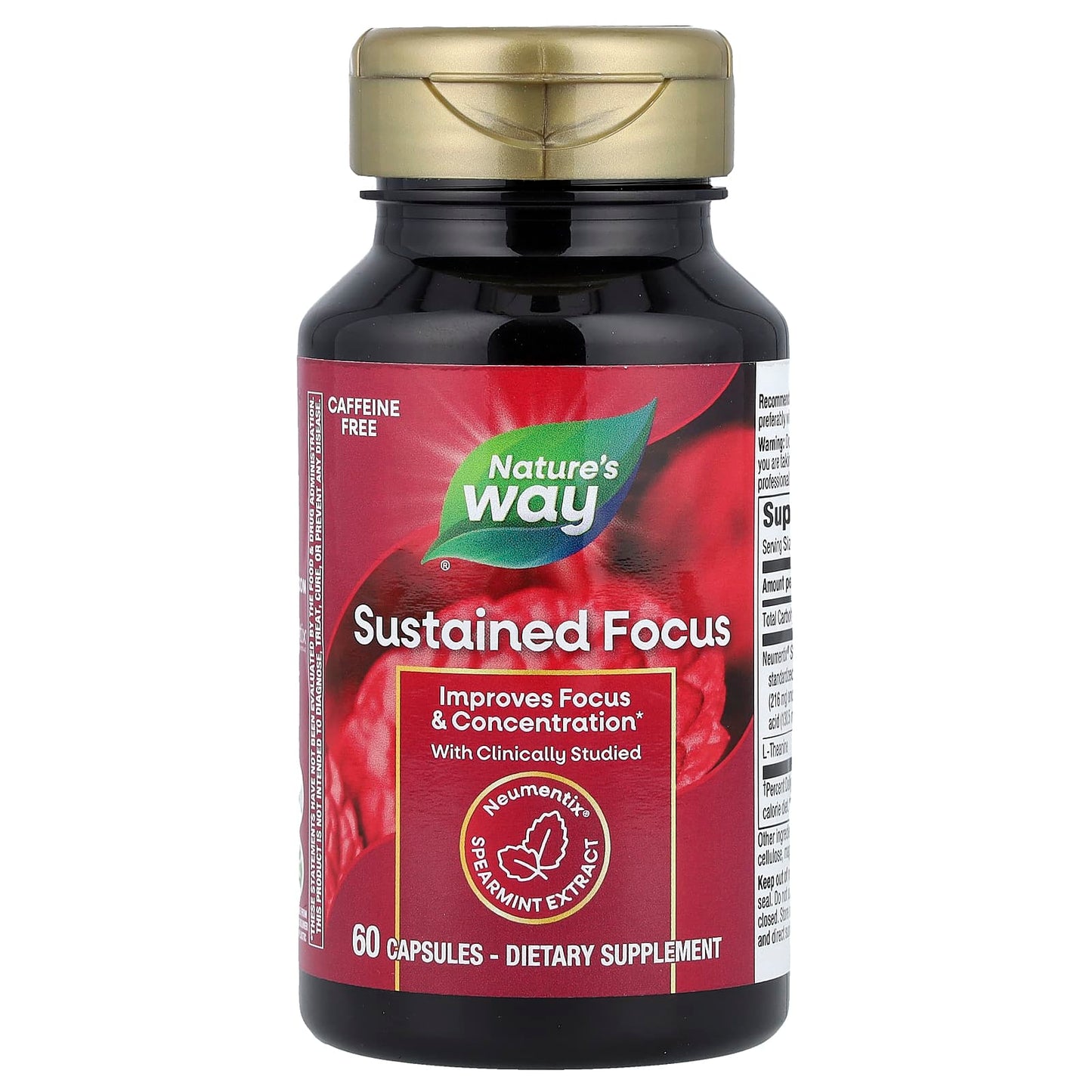 Nature's Way, Sustained Focus, 60 Capsules - Image 1