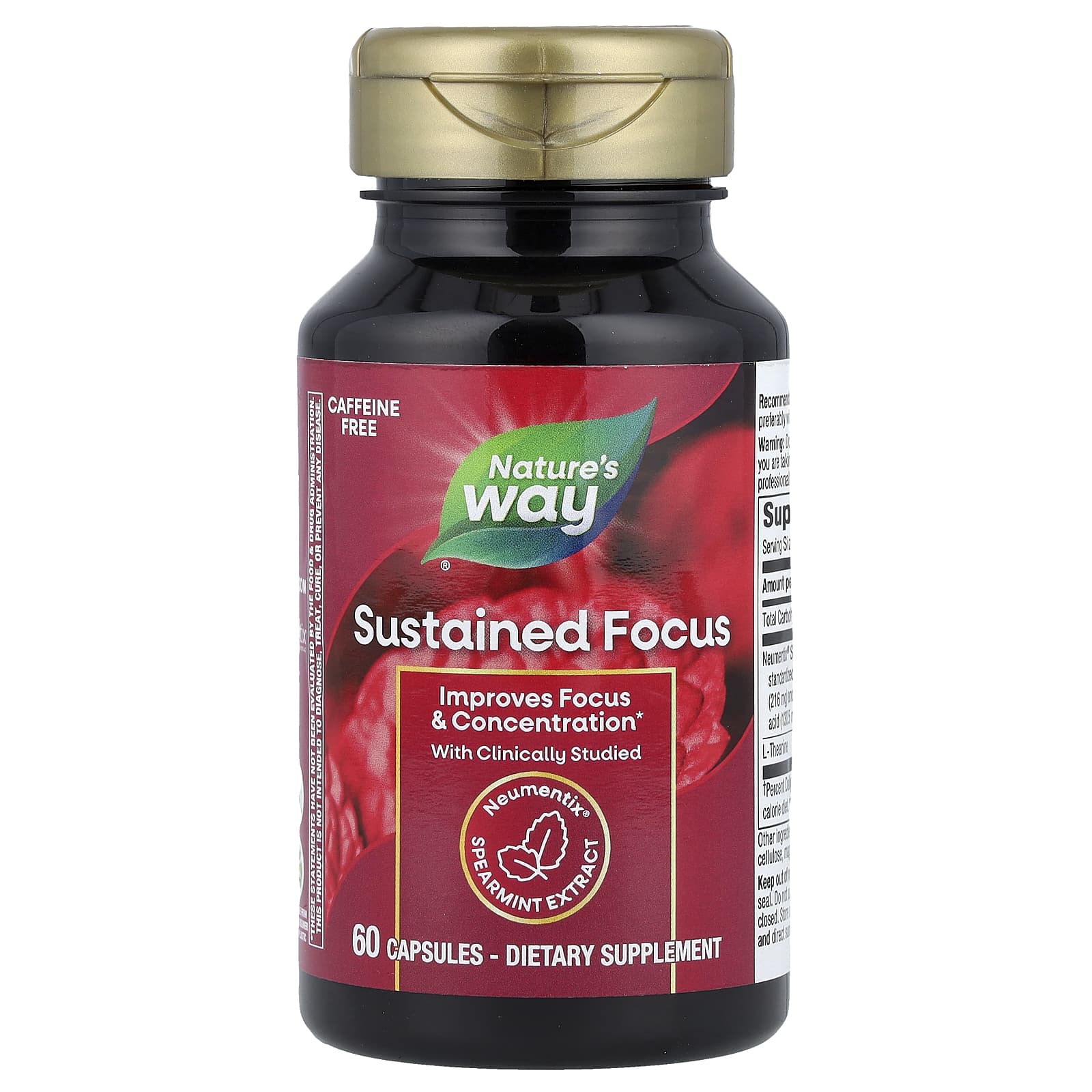 Nature's Way, Sustained Focus, 60 Capsules - Image 1