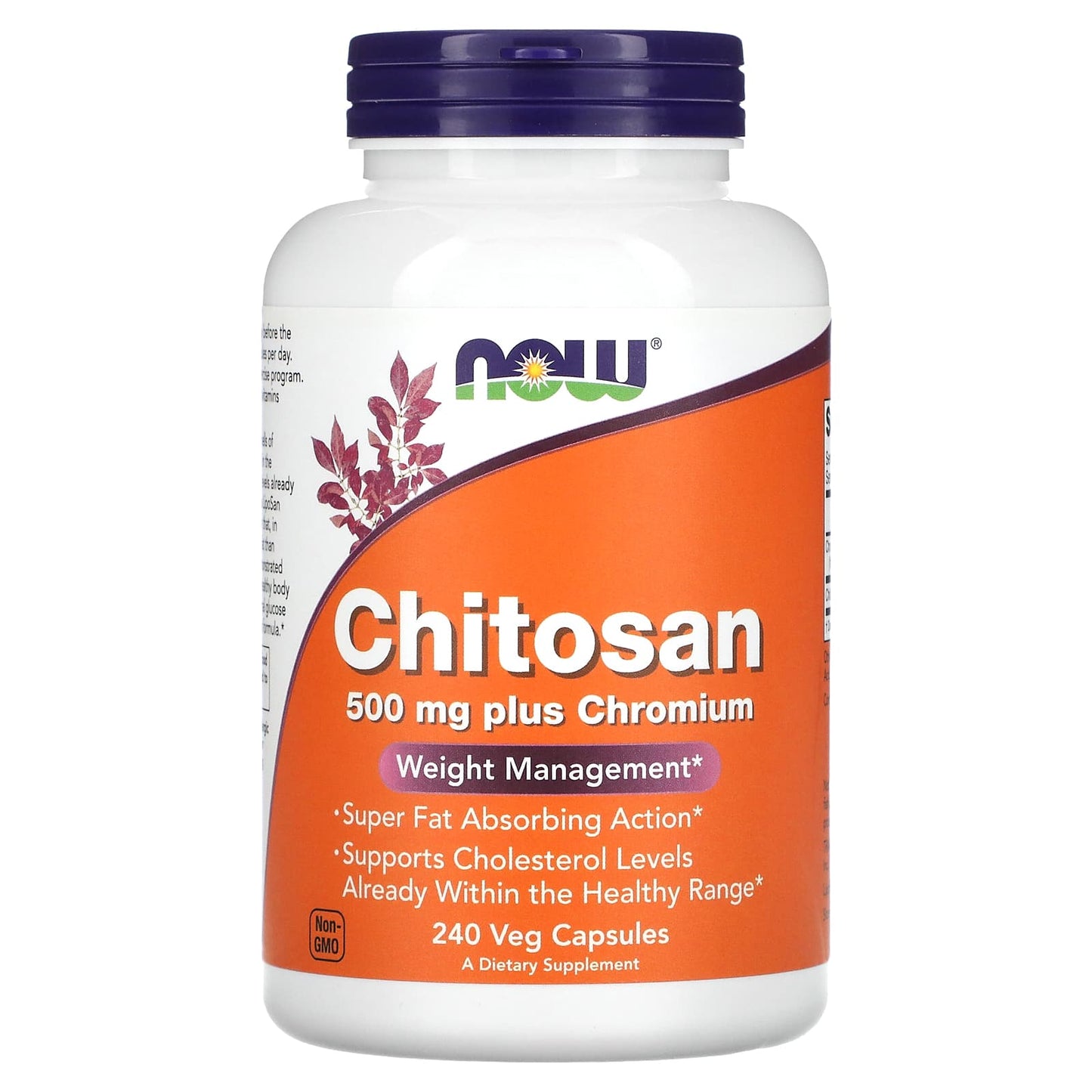 NOW Foods, Chitosan, 500 mg, 240 Veg Capsules - Image 1
