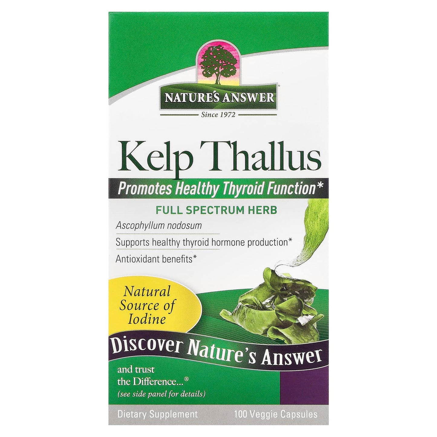 Nature's Answer, Kelp Thallus, 100 Veggie Capsules (250 mg per Capsule) - Image 1