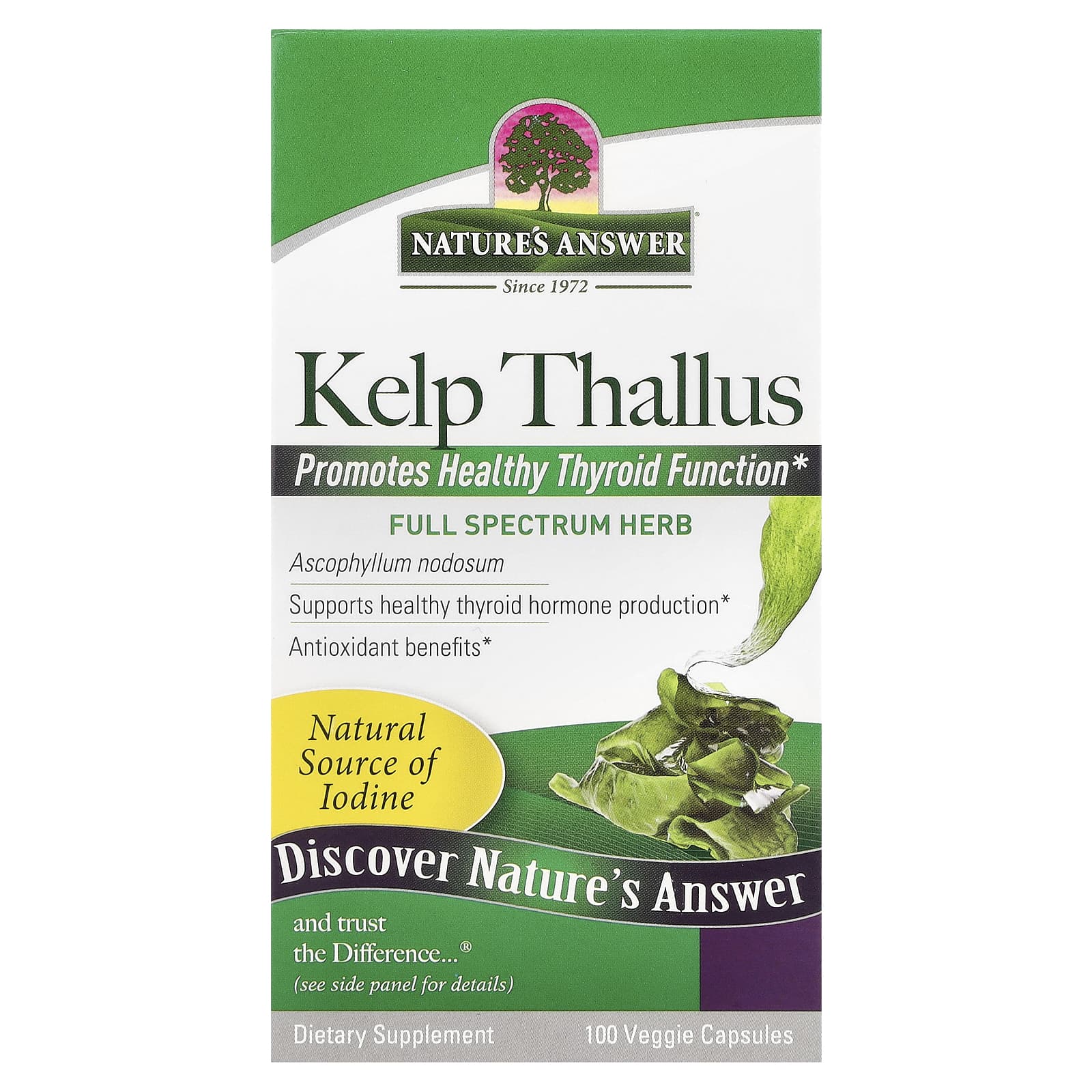 Nature's Answer, Kelp Thallus, 100 Veggie Capsules (250 mg per Capsule) - Image 1