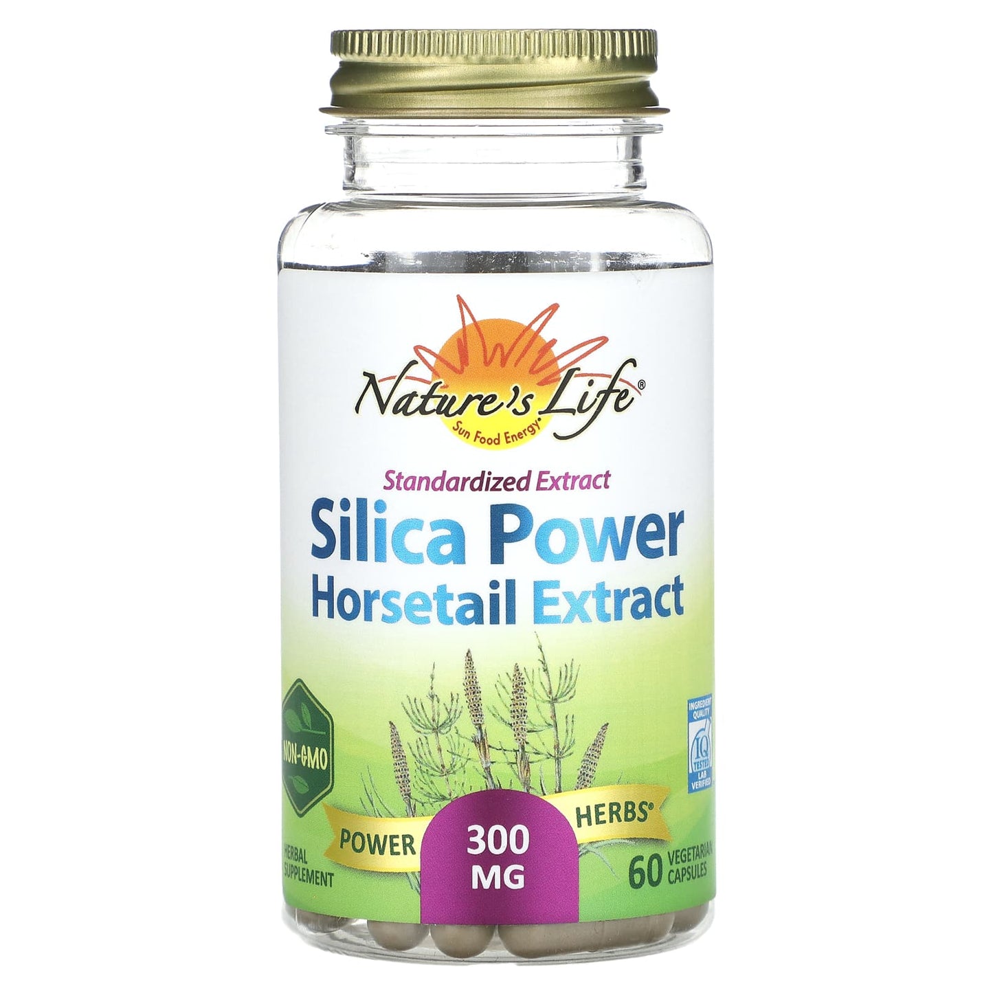 Nature's Life, Silica Power Horsetail Extract, 300 mg, 60 Vegetarian Capsules - Image 1