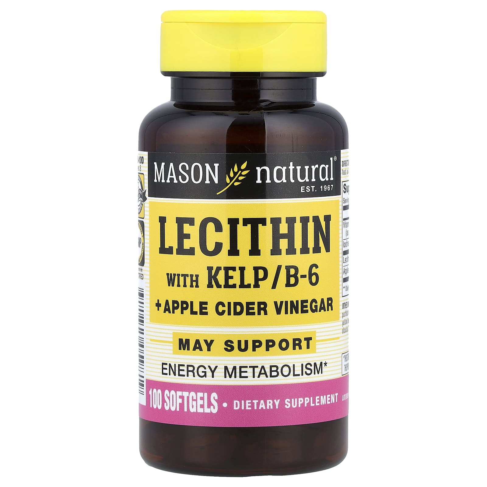 Mason Natural, Lecithin with Kelp/B-6 + Apple Cider Vinegar, 100 Softgels - Image 1
