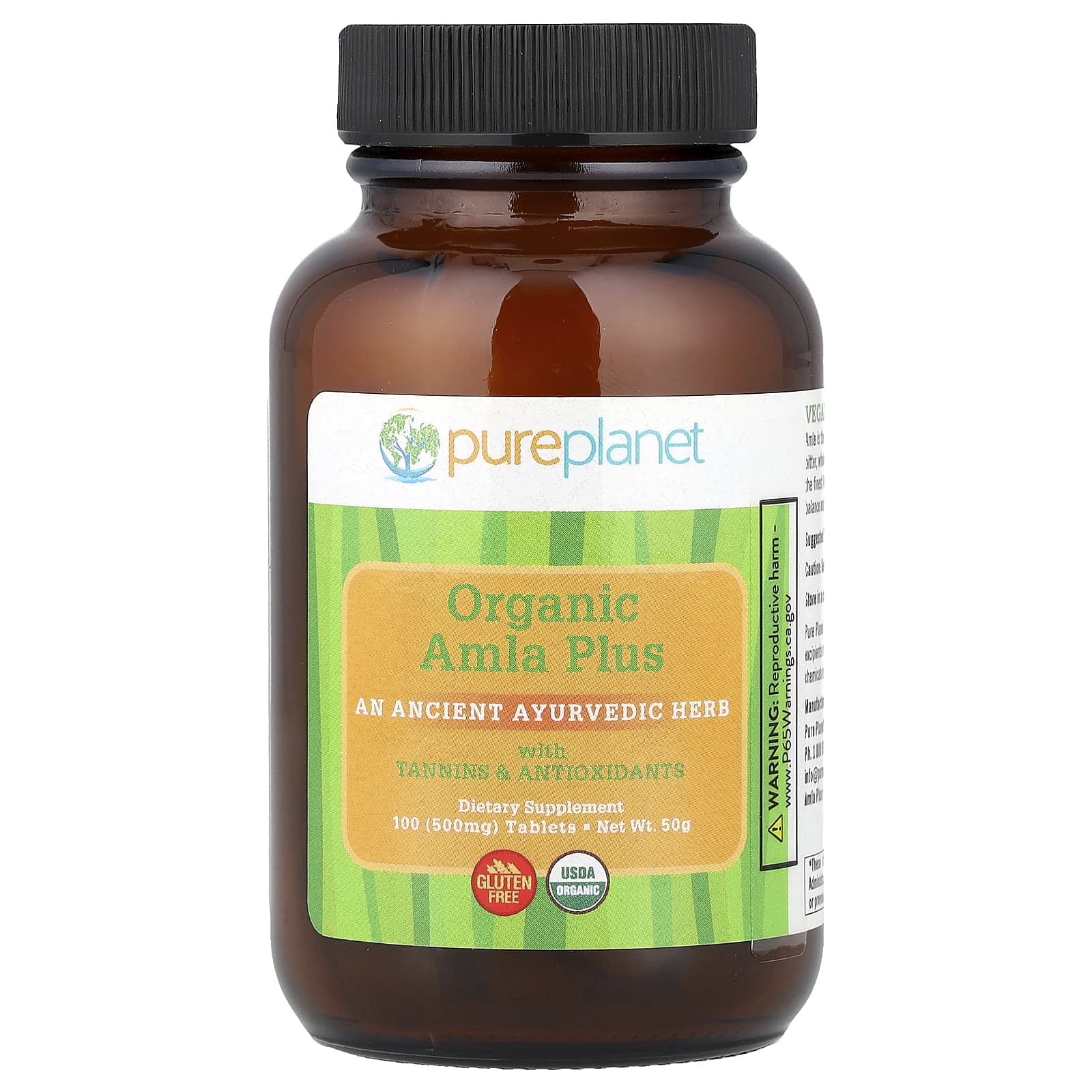 Pure Planet, Organic Amla Plus, 100 Tablets - Image 1