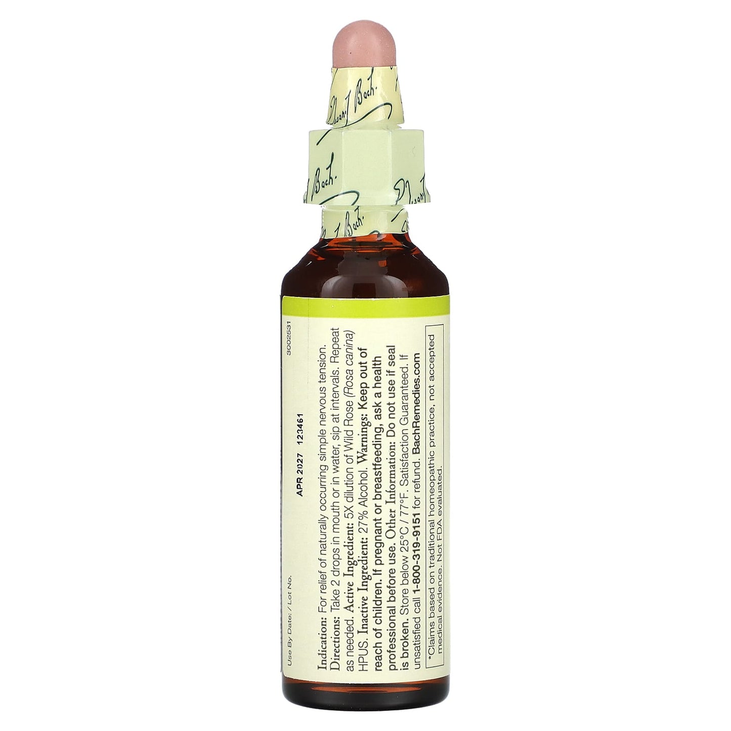 Wild Rose Bach Flower Remedy for Natural Enthusiasm and Passion - Image 2