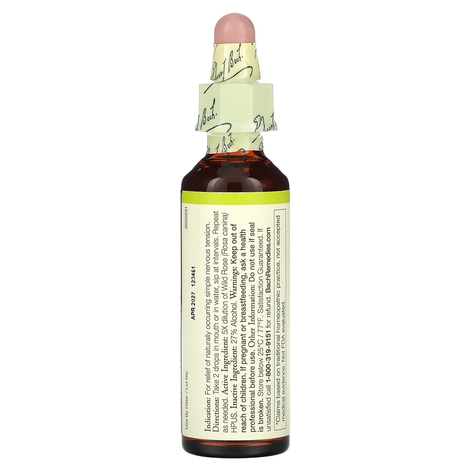 Wild Rose Bach Flower Remedy for Natural Enthusiasm and Passion - Image 2