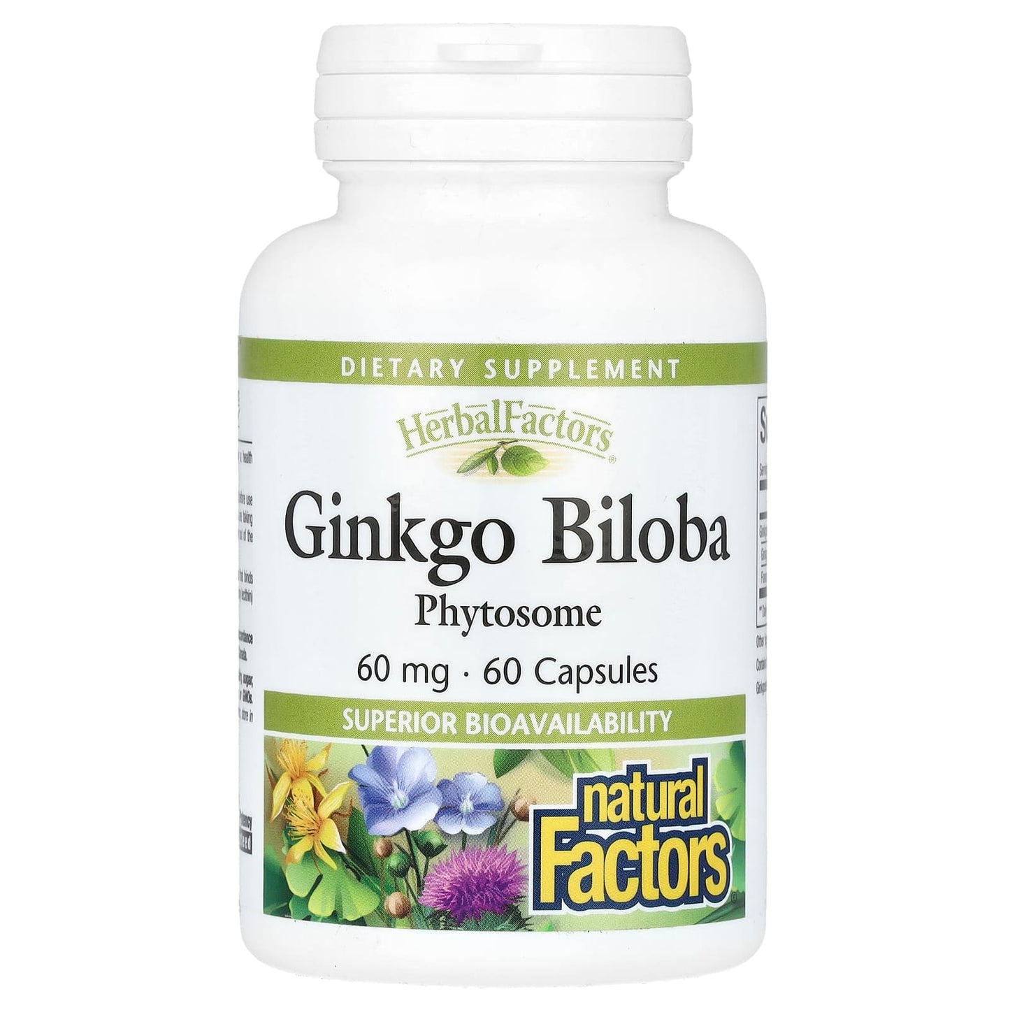 Natural Factors, Ginkgo Biloba, Phytosome, 60 mg, 60 Capsules - Image 1
