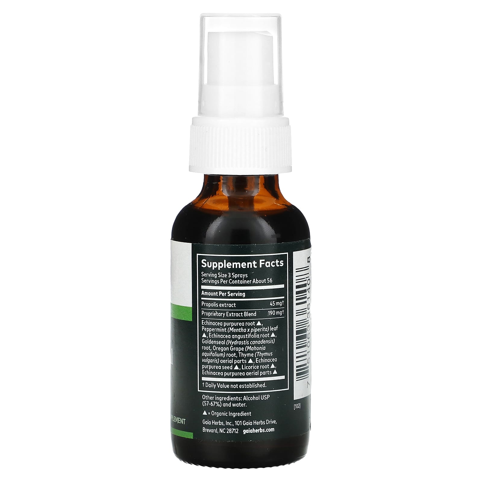 Throat Spray for Immune Support with Echinacea & Goldenseal - Image 2