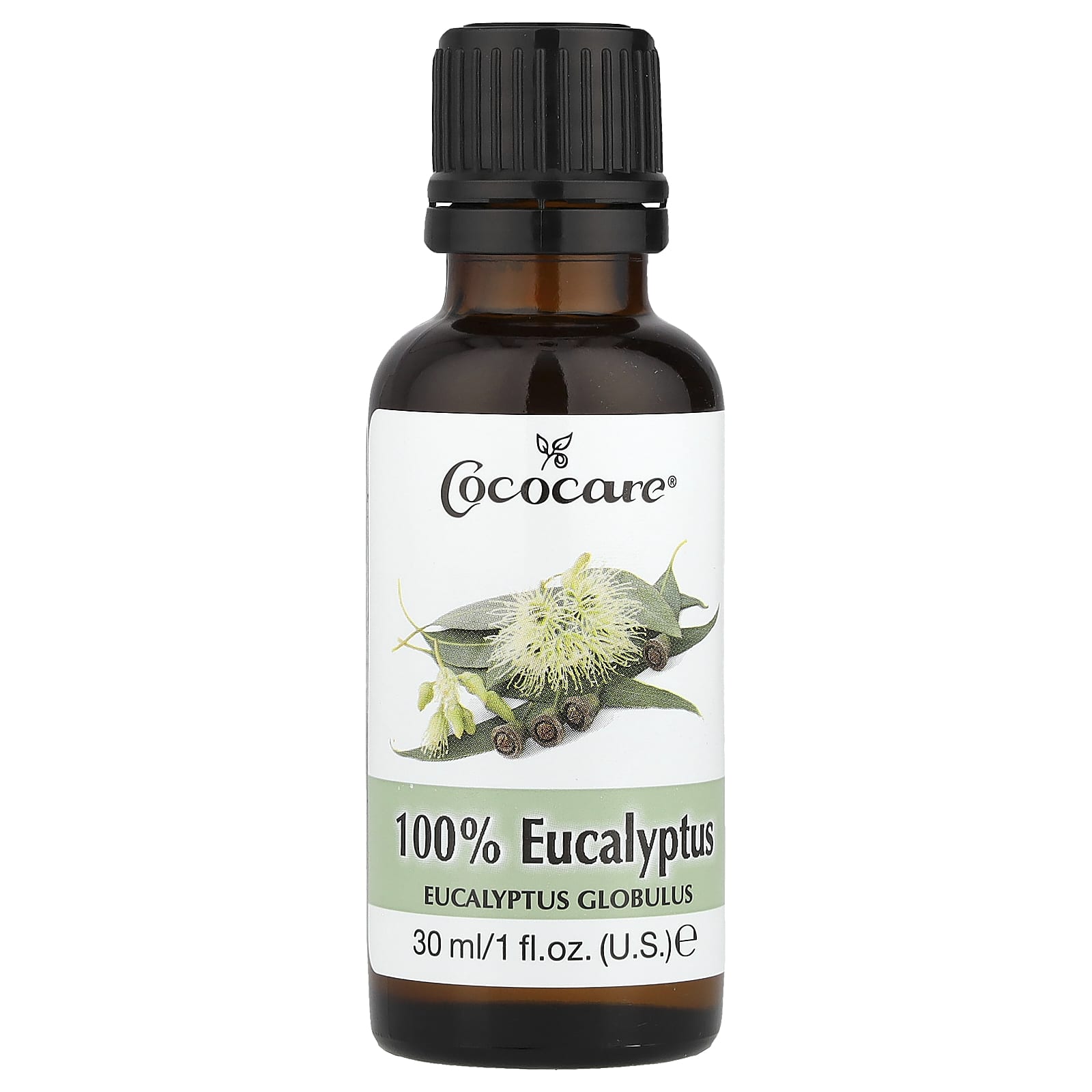 Eucalyptus Oil 100% Pure, 1 oz (30 ml) by Cococare - Image 1