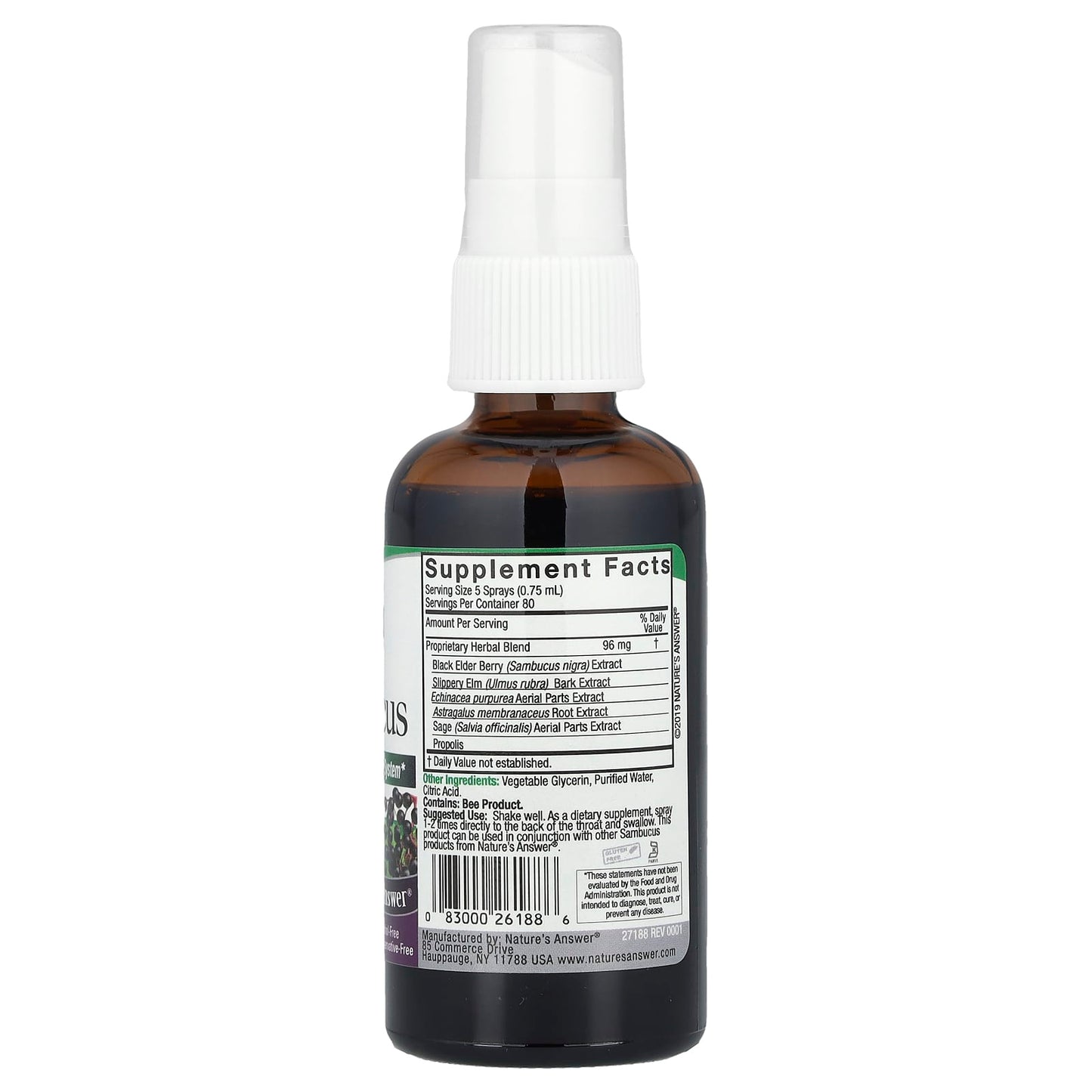 Nature's Answer, Sambucus, Black Elderberry Extract Spray, Alcohol-Free, 2 fl oz (60 ml) - Image 2