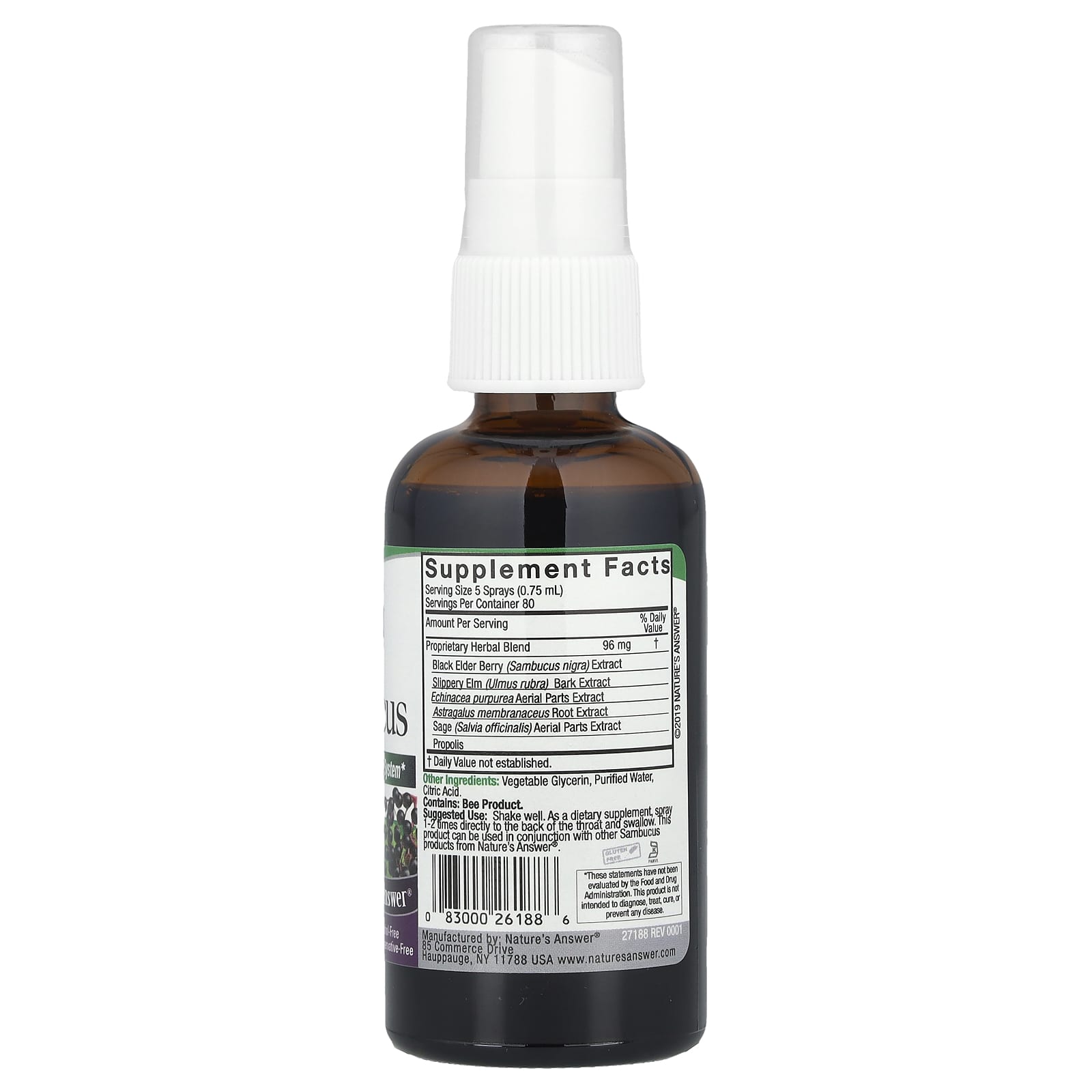 Nature's Answer, Sambucus, Black Elderberry Extract Spray, Alcohol-Free, 2 fl oz (60 ml) - Image 2