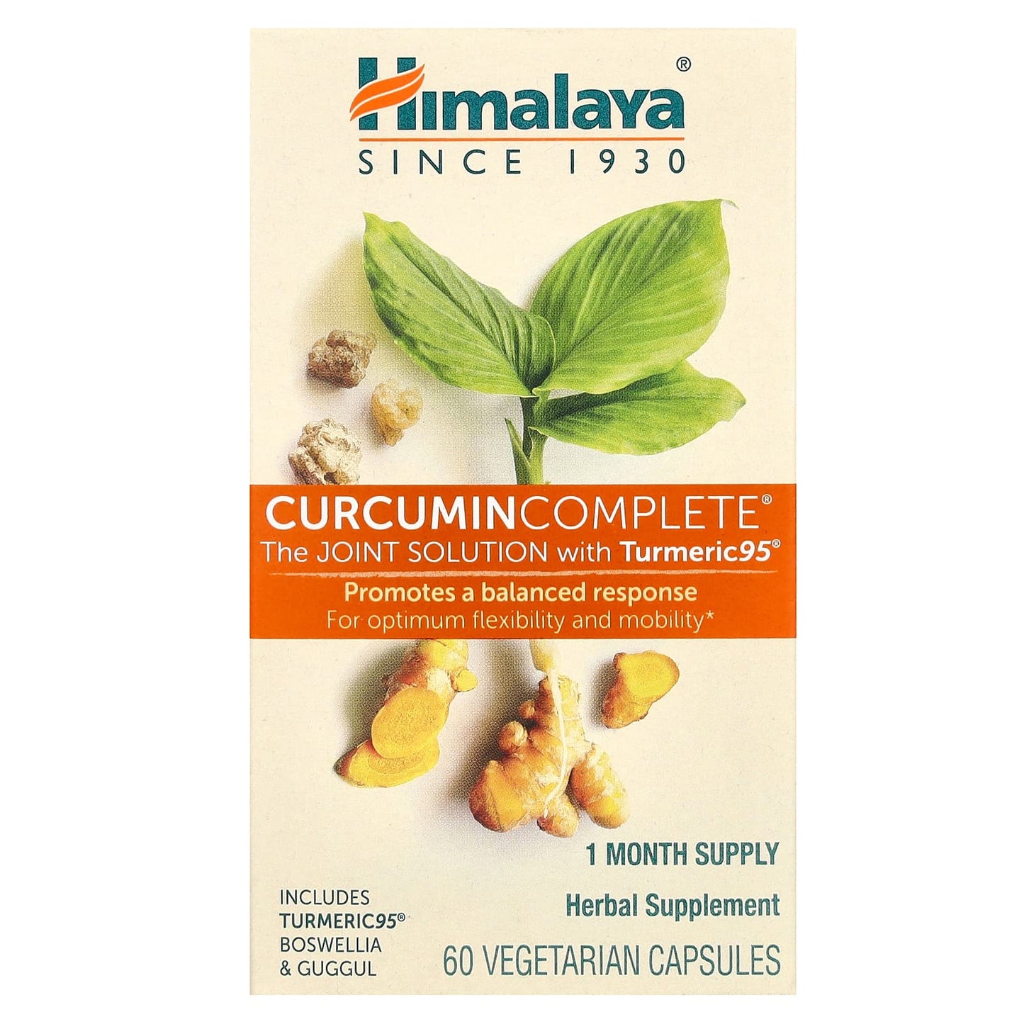 Turmeric Curcumin Supplement for Joint Health and Mobility - Image 1