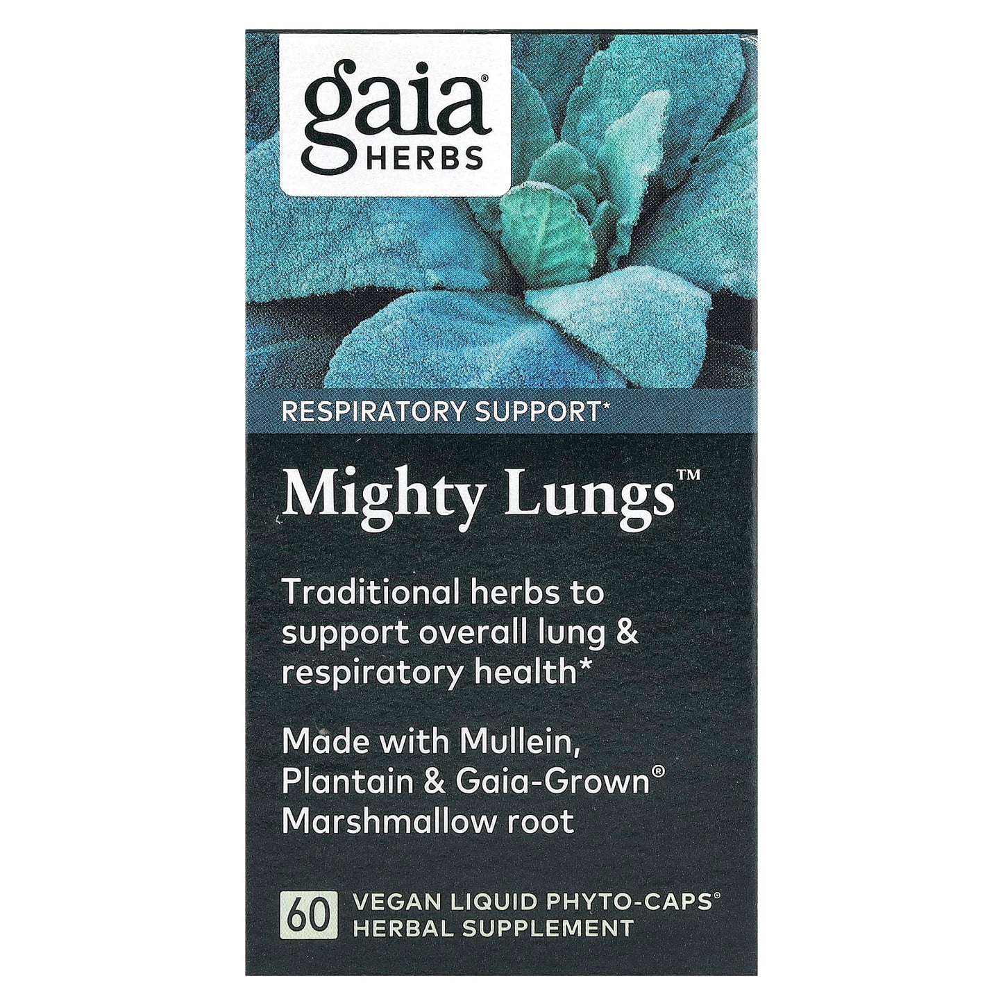 Gaia Herbs Mighty Lungs Respiratory Support Supplement 60 Capsules - Image 1