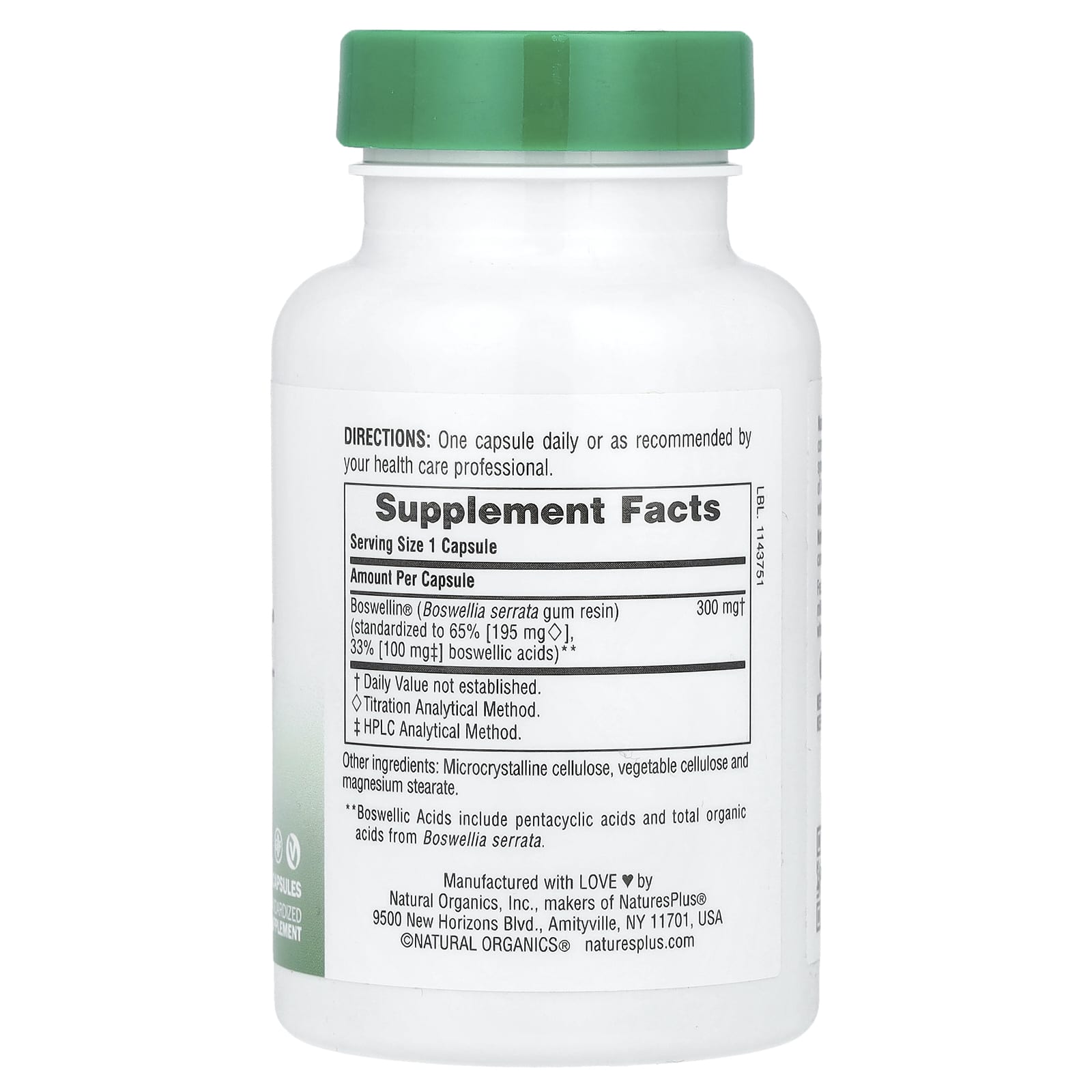 NaturesPlus, Herbal Actives, Boswellin®, 300 mg, 60 Capsules