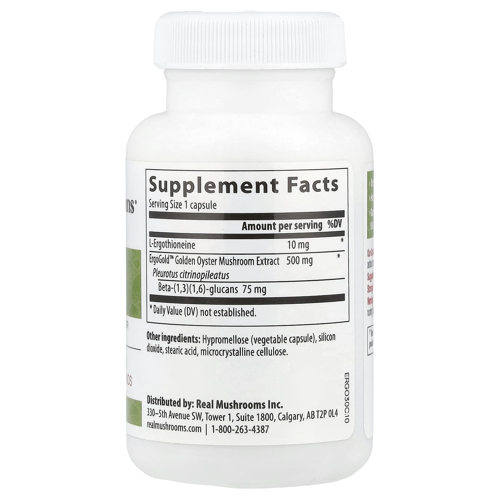 Real Mushrooms, ERGO + L-Ergothioneine, 60 Capsules - Image 2