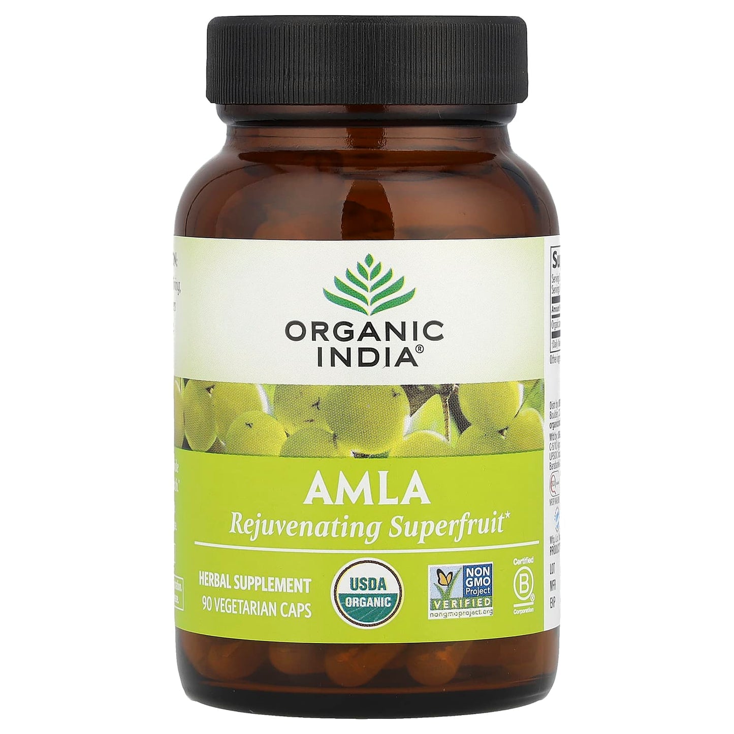 Organic India, Amla, 90 Vegetarian Caps (500 mg per Capsule) - Image 1