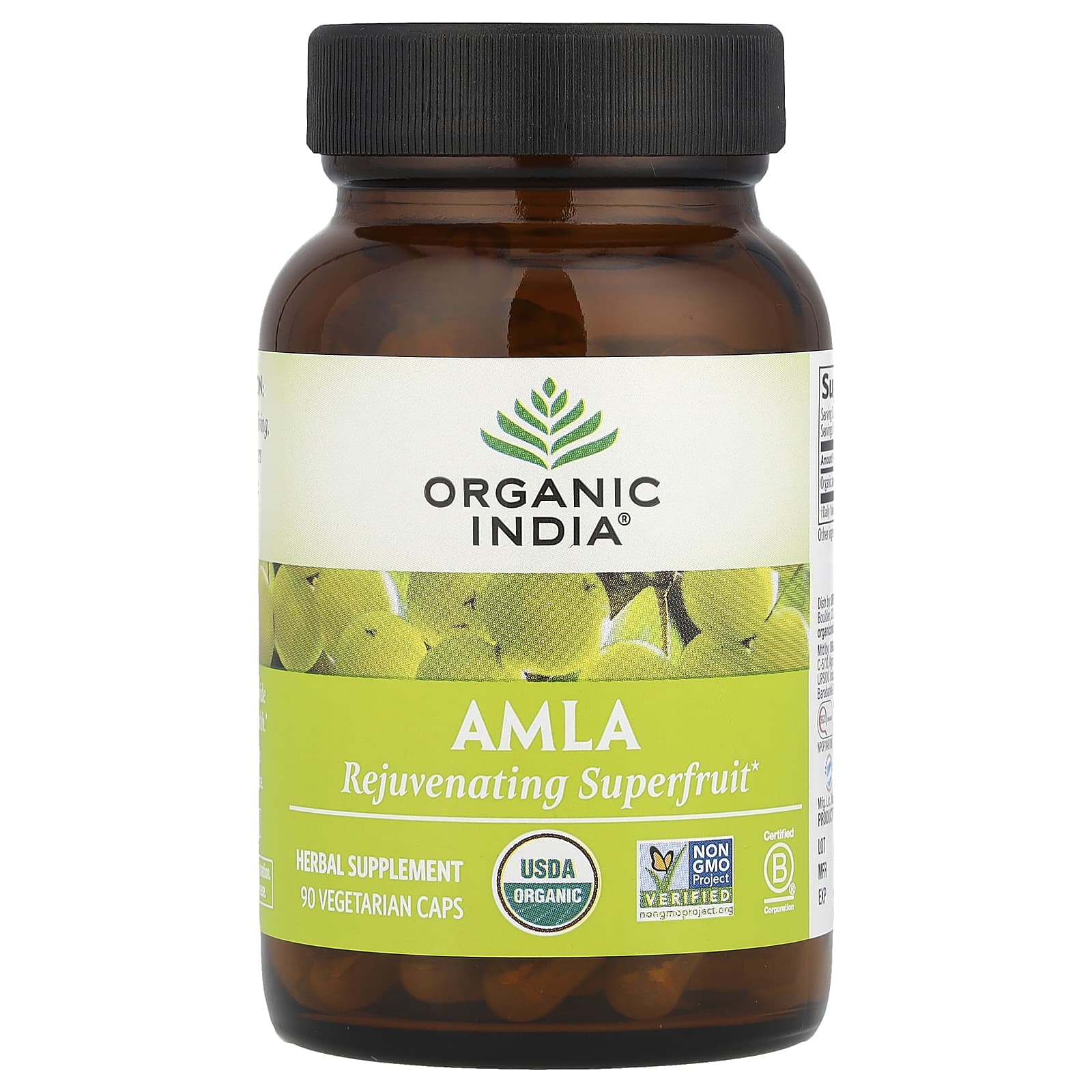 Organic India, Amla, 90 Vegetarian Caps (500 mg per Capsule) - Image 1