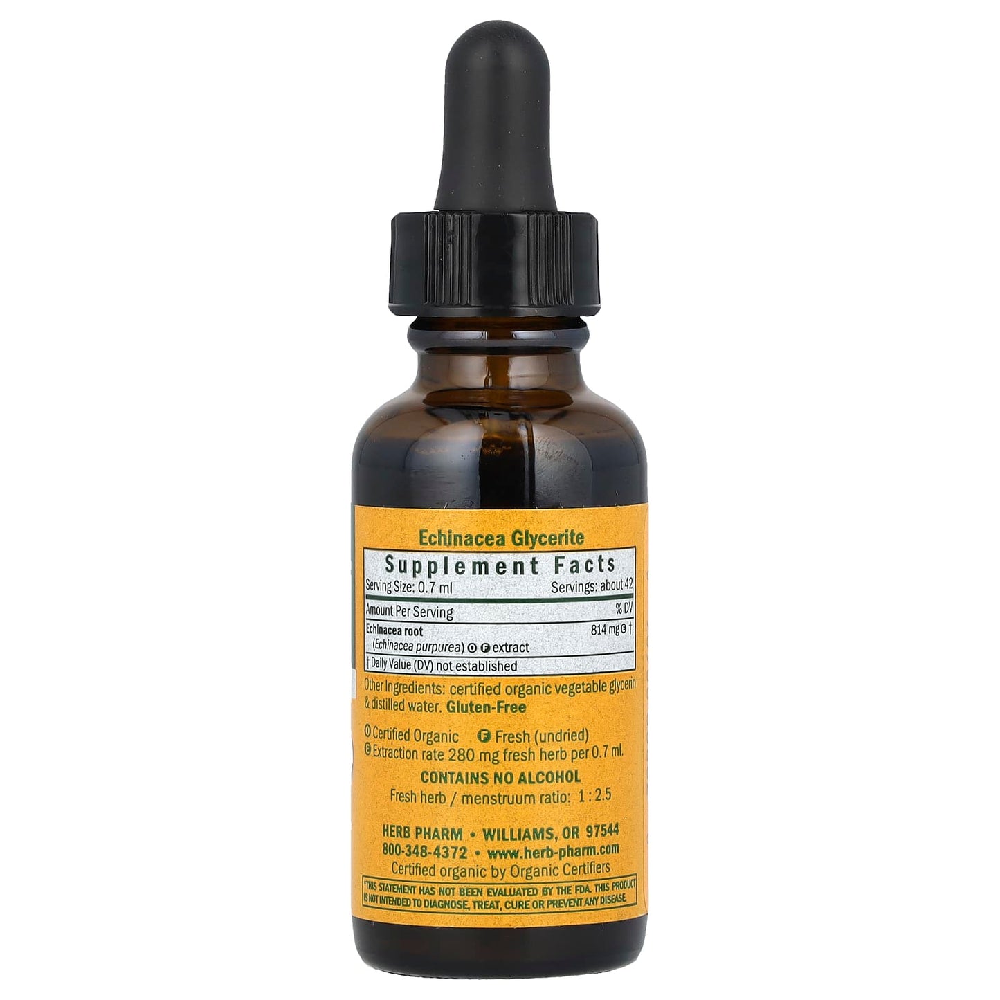 Organic Echinacea Supplement for Immune Support - 1 fl oz - Image 2