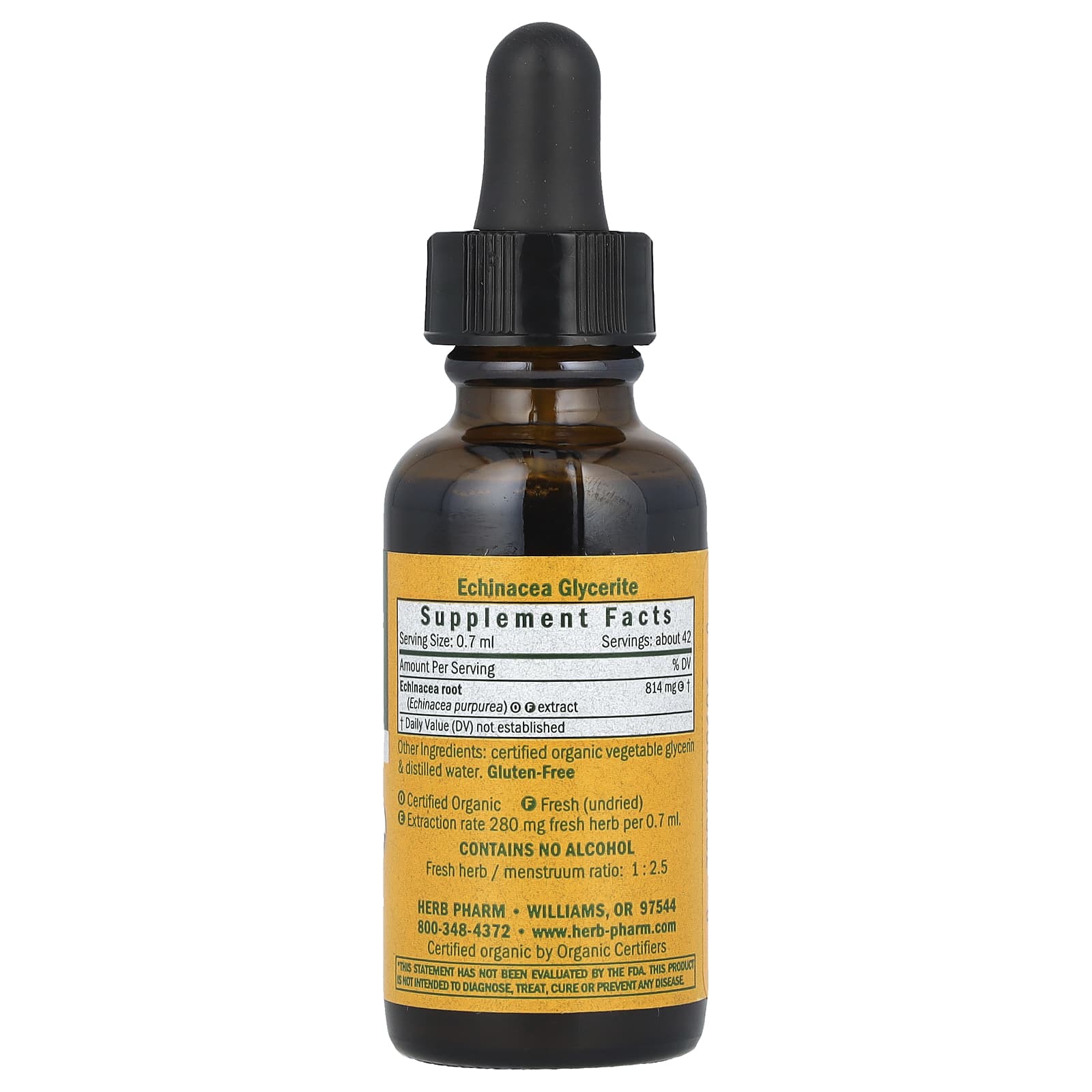 Organic Echinacea Supplement for Immune Support - 1 fl oz - Image 2