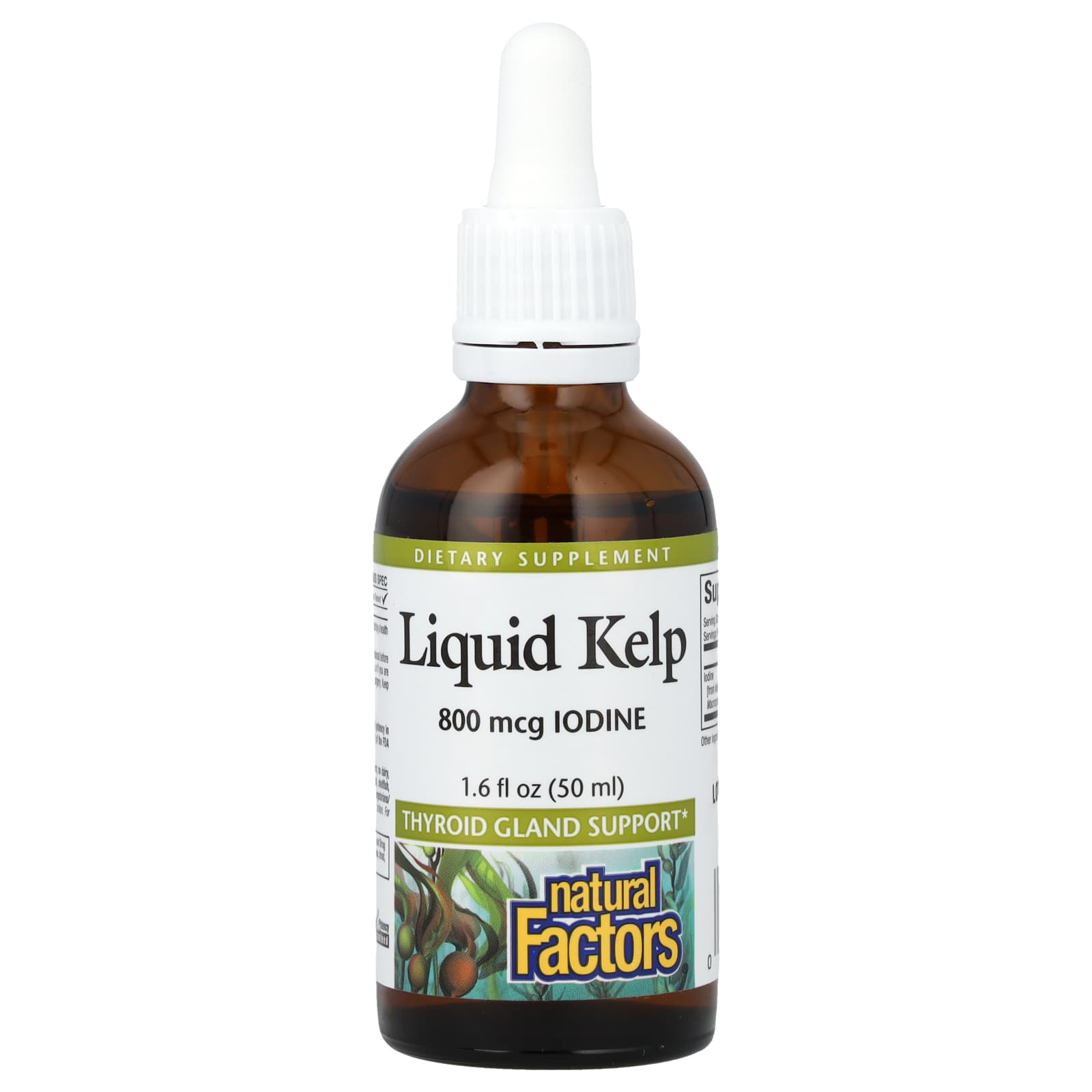 Natural Factors, Liquid Kelp, 800 mcg, 1.6 fl oz (50 ml) - Image 1