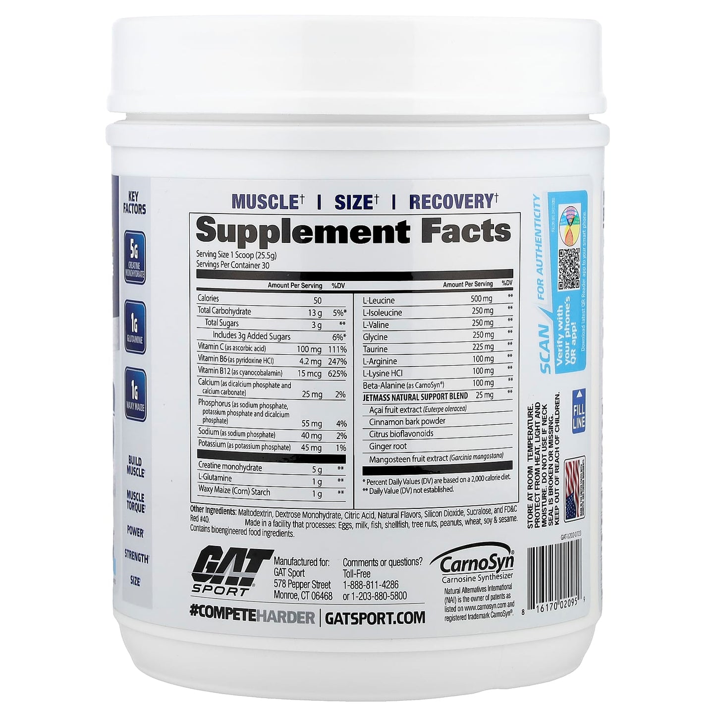 GAT JetMASS Fast-Acting Volumizing Creatine System, Tropical Ice, 1.7 lbs - Image 2