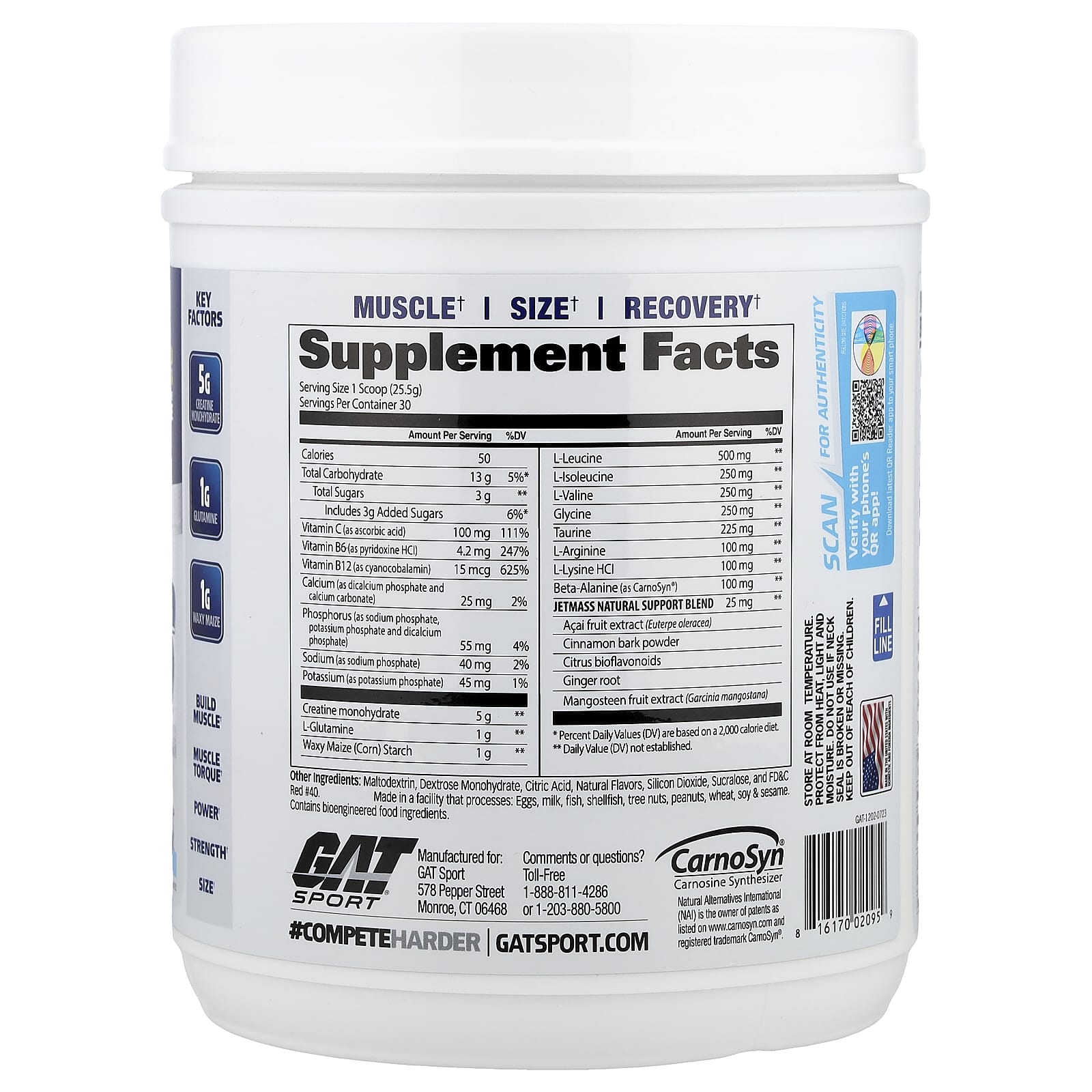 GAT JetMASS Fast-Acting Volumizing Creatine System, Tropical Ice, 1.7 lbs - Image 2