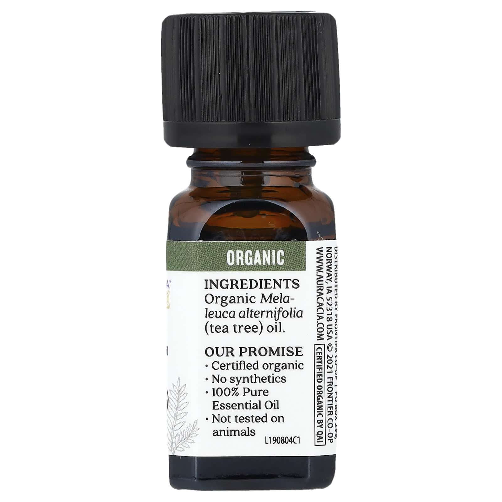 Certified Organic Tea Tree Essential Oil by Aura Cacia, 0.25 fl oz - Image 2