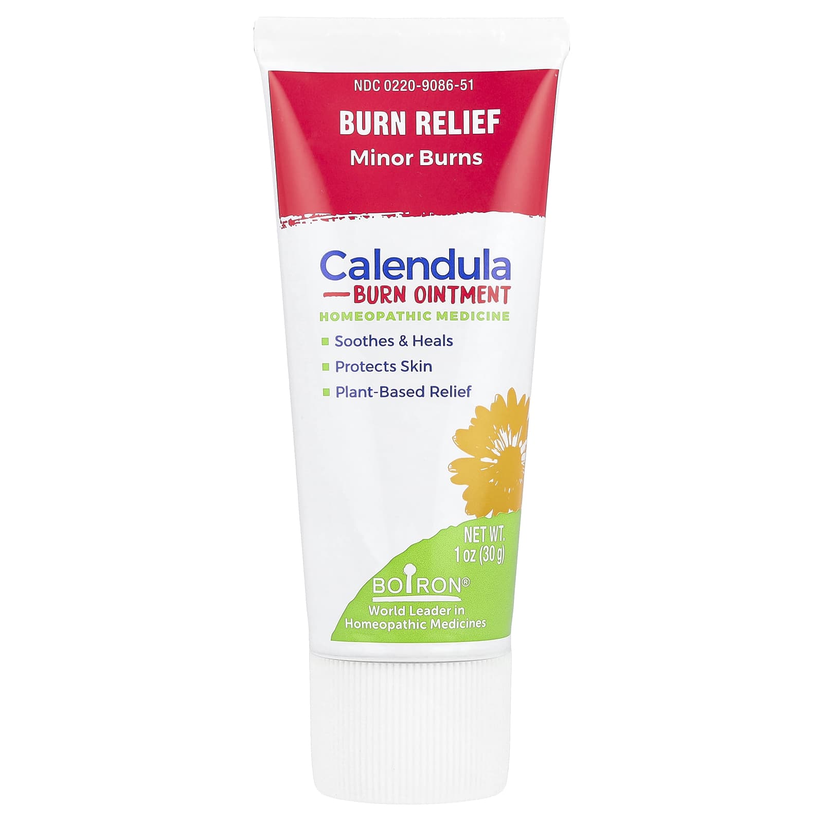 Boiron Calendula Burn Ointment for Minor Burns Relief - Image 1