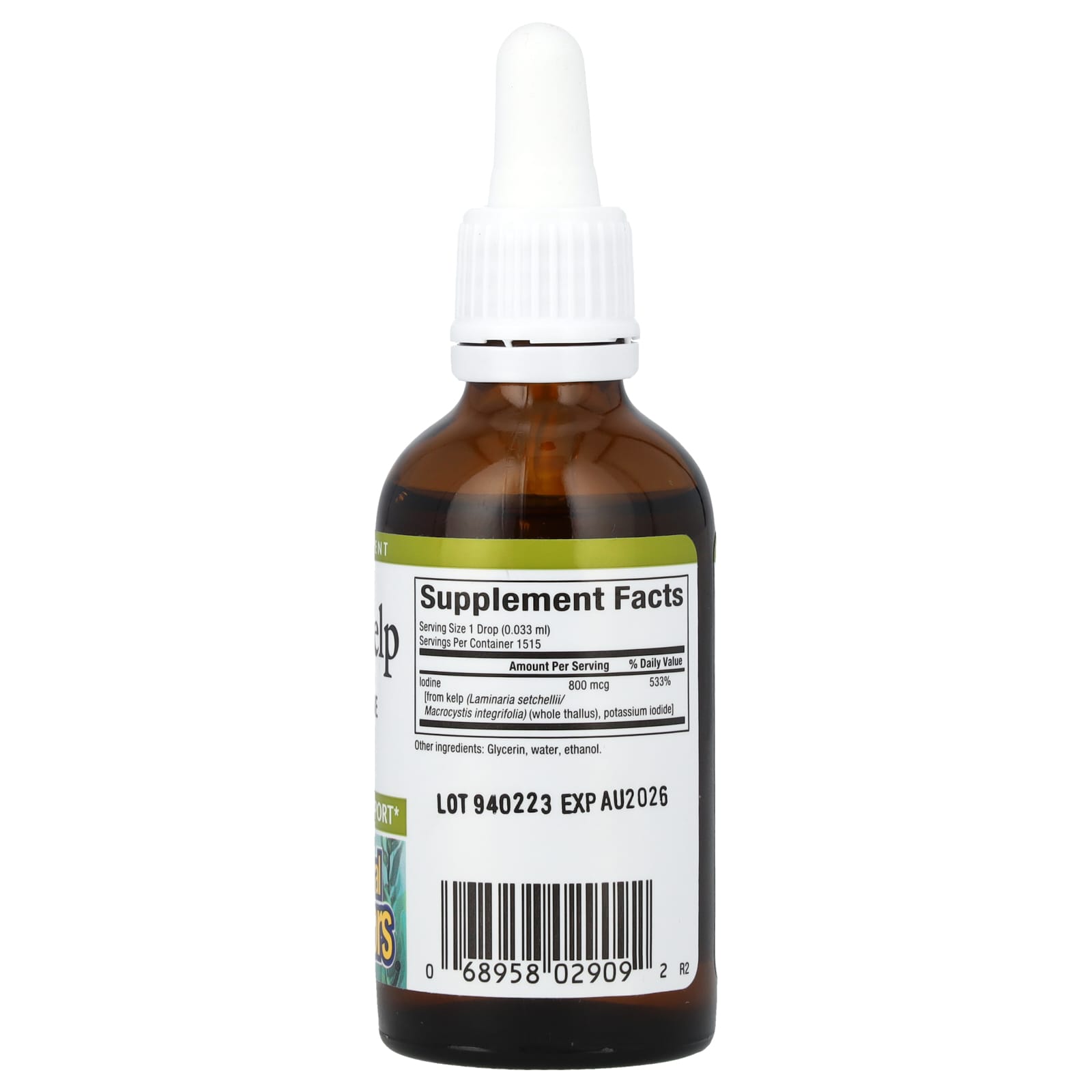 Natural Factors, Liquid Kelp, 800 mcg, 1.6 fl oz (50 ml) - Image 2