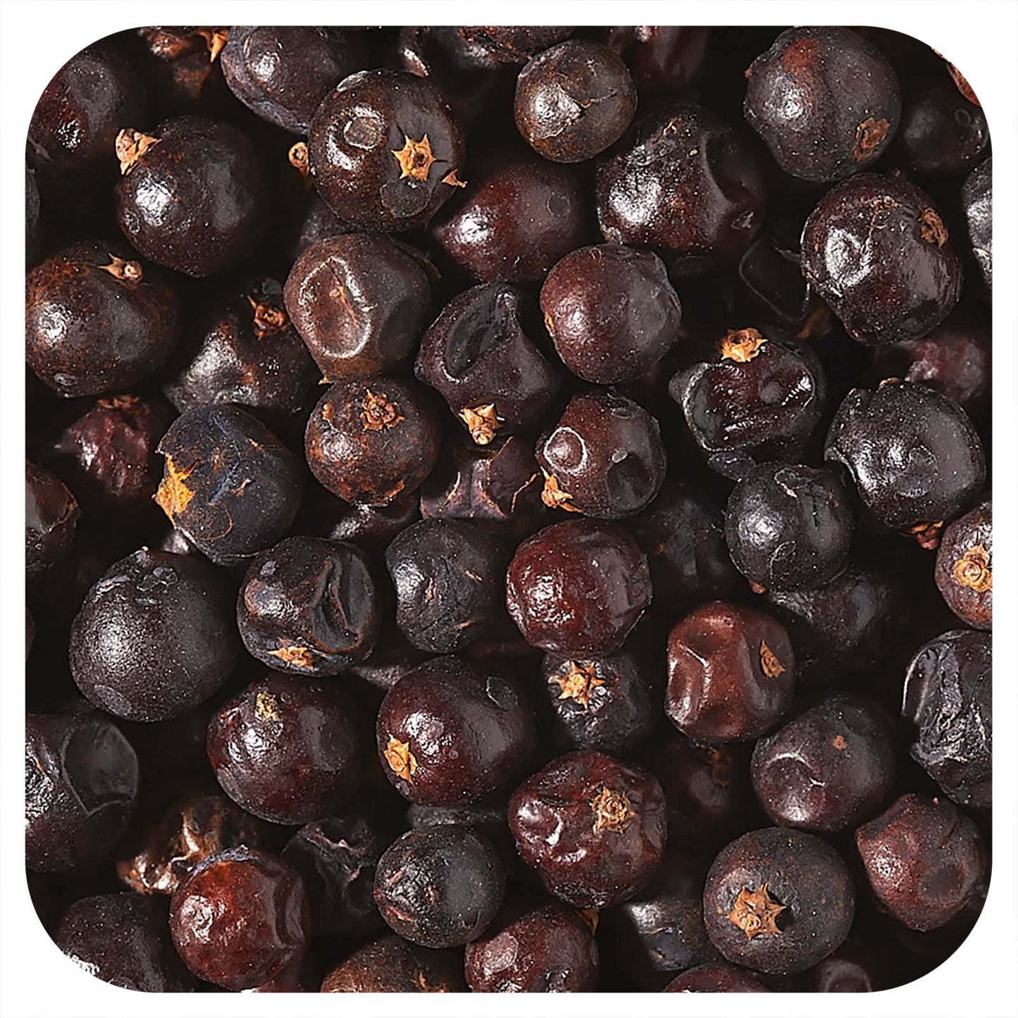 Starwest Botanicals, Organic Juniper Berries, 1 lb (453.6 g) - Image 1