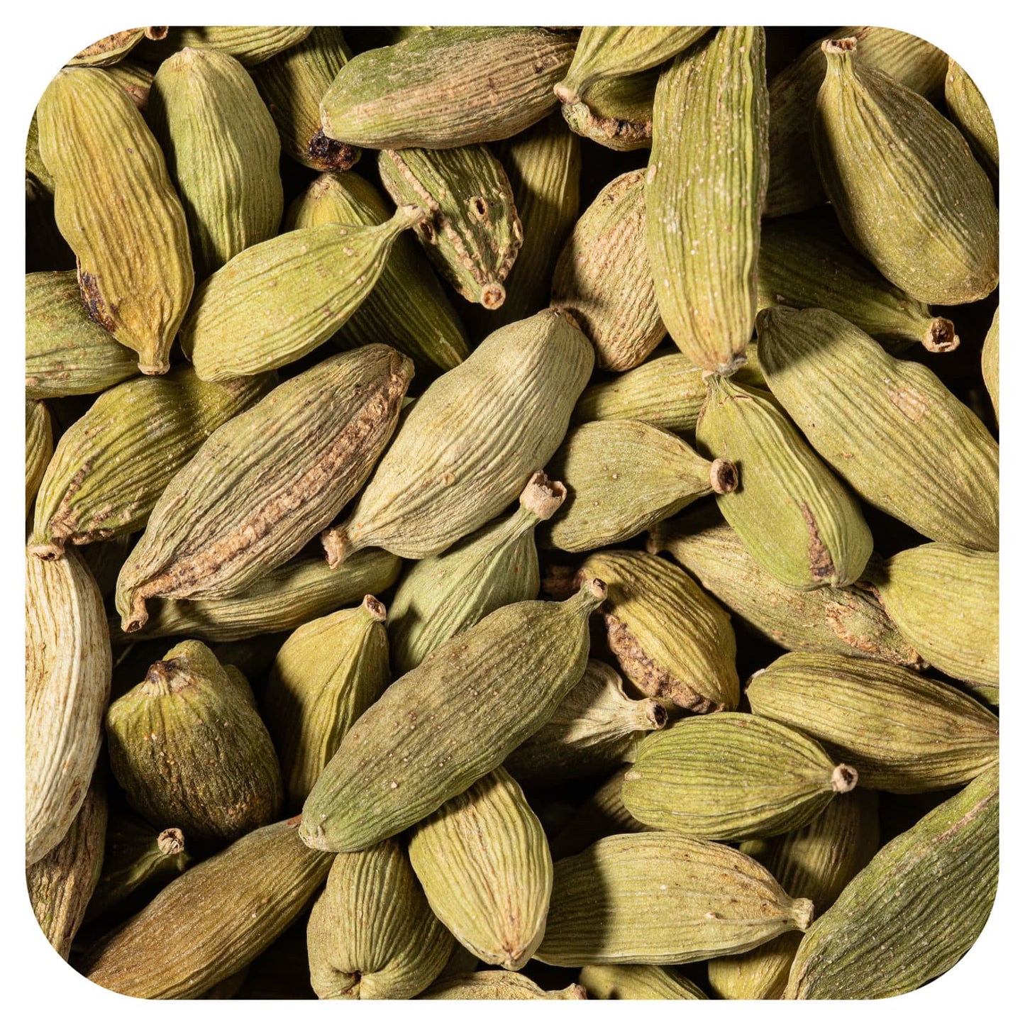 Starwest Botanicals, Organic Cardamom Pods Green, 1 lb (453.6 g) - Image 1