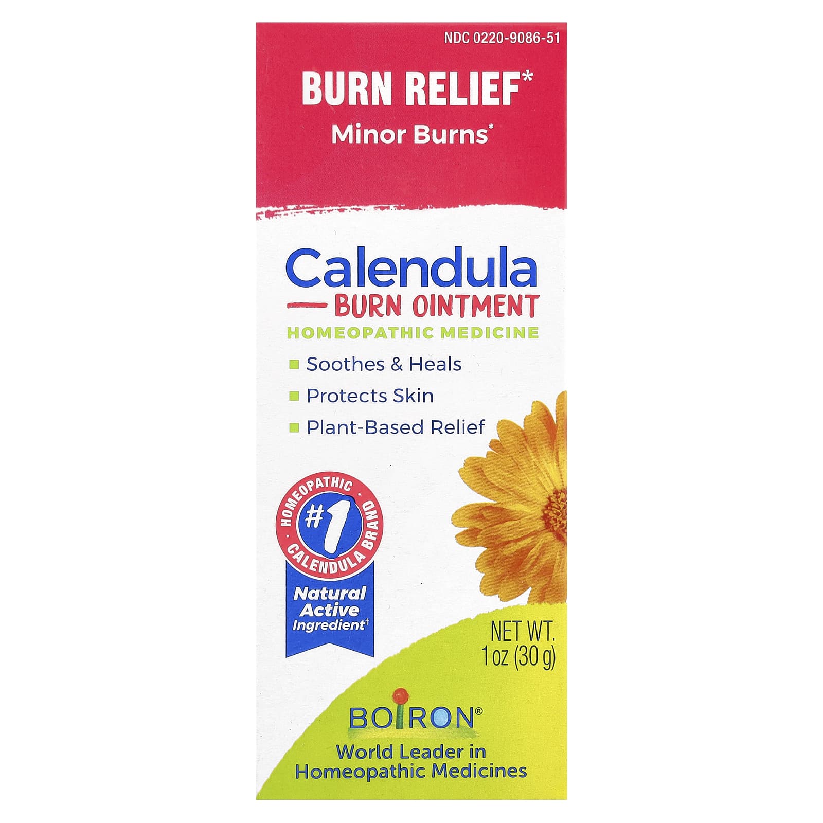 Boiron Calendula Burn Ointment for Minor Burns Relief - Image 2