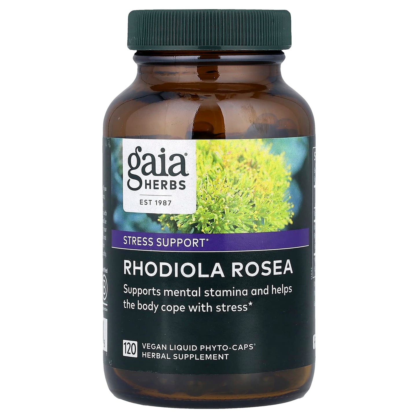 Gaia Herbs Rhodiola Rosea - Stress Support Supplement 120 Capsules - Image 1