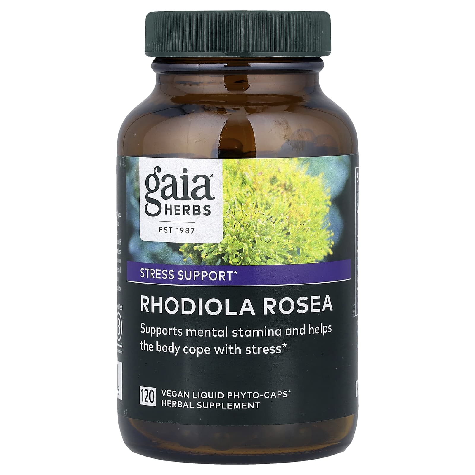 Gaia Herbs Rhodiola Rosea - Stress Support Supplement 120 Capsules - Image 1