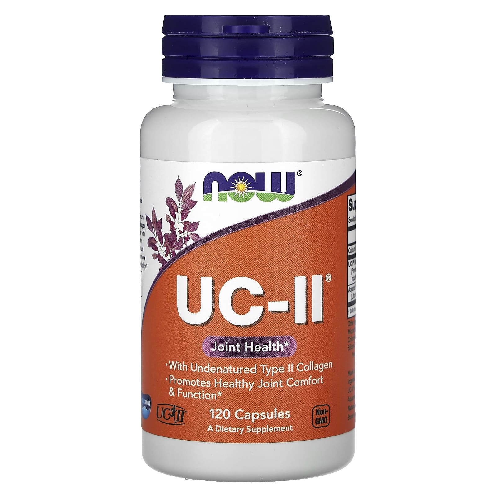 NOW Foods, UC-II® Joint Health with Undenatured Type II Collagen, 120 Capsules - Image 1