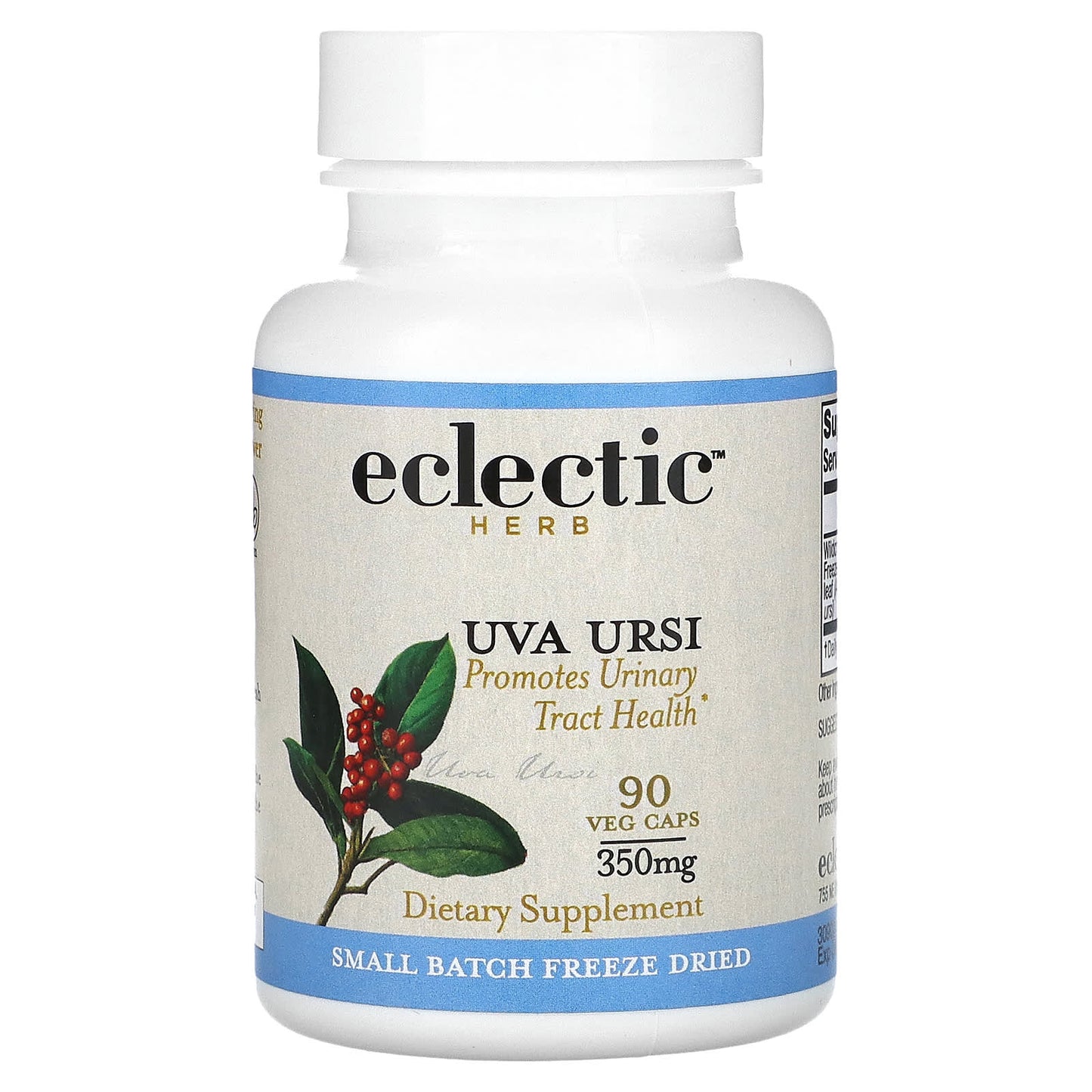 Uva Ursi Supplement for Urinary Tract Health, 350mg, 90 Capsules - Image 1