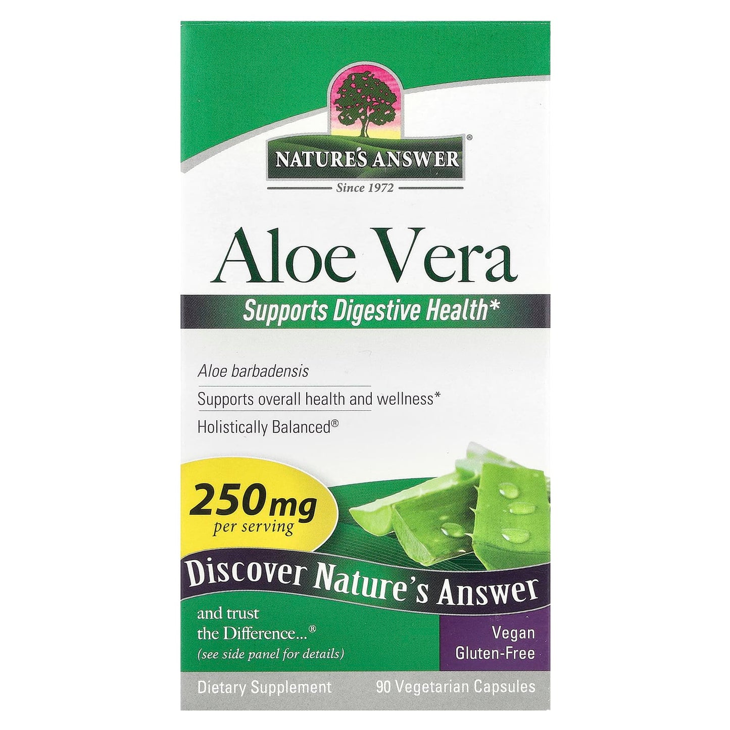 Nature's Answer, Aloe Vera , 250 mg, 90 Vegetarian Capsules - Image 1