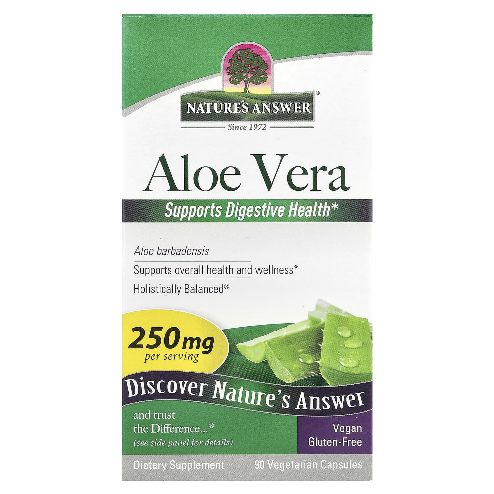 Nature's Answer, Aloe Vera , 250 mg, 90 Vegetarian Capsules - Image 1