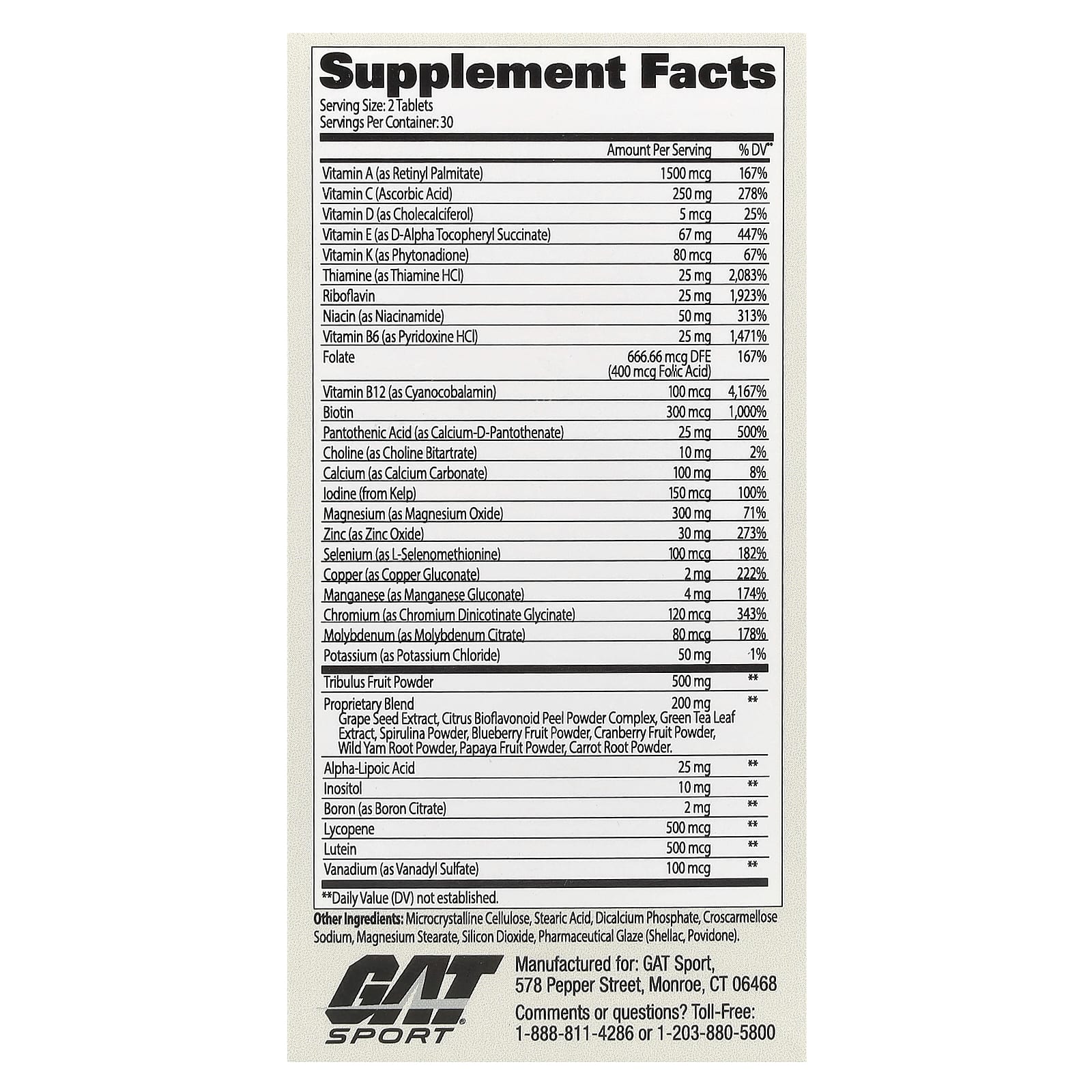 GAT Men's Multivitamin + Testosterone Booster, 60 Tablets, High Potency - Image 2