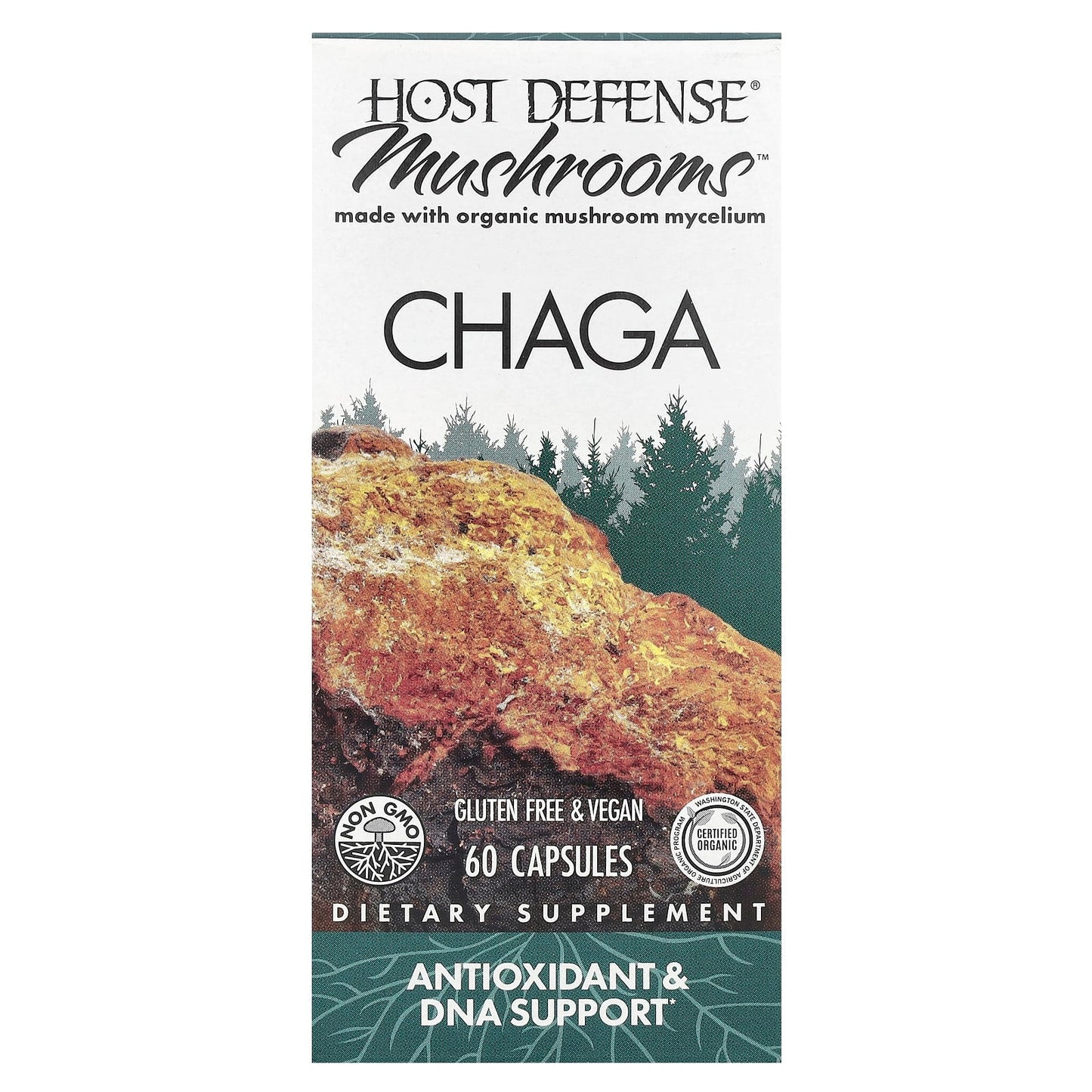 Host Defense Chaga Mushroom Supplement - 60 Capsules - Image 1