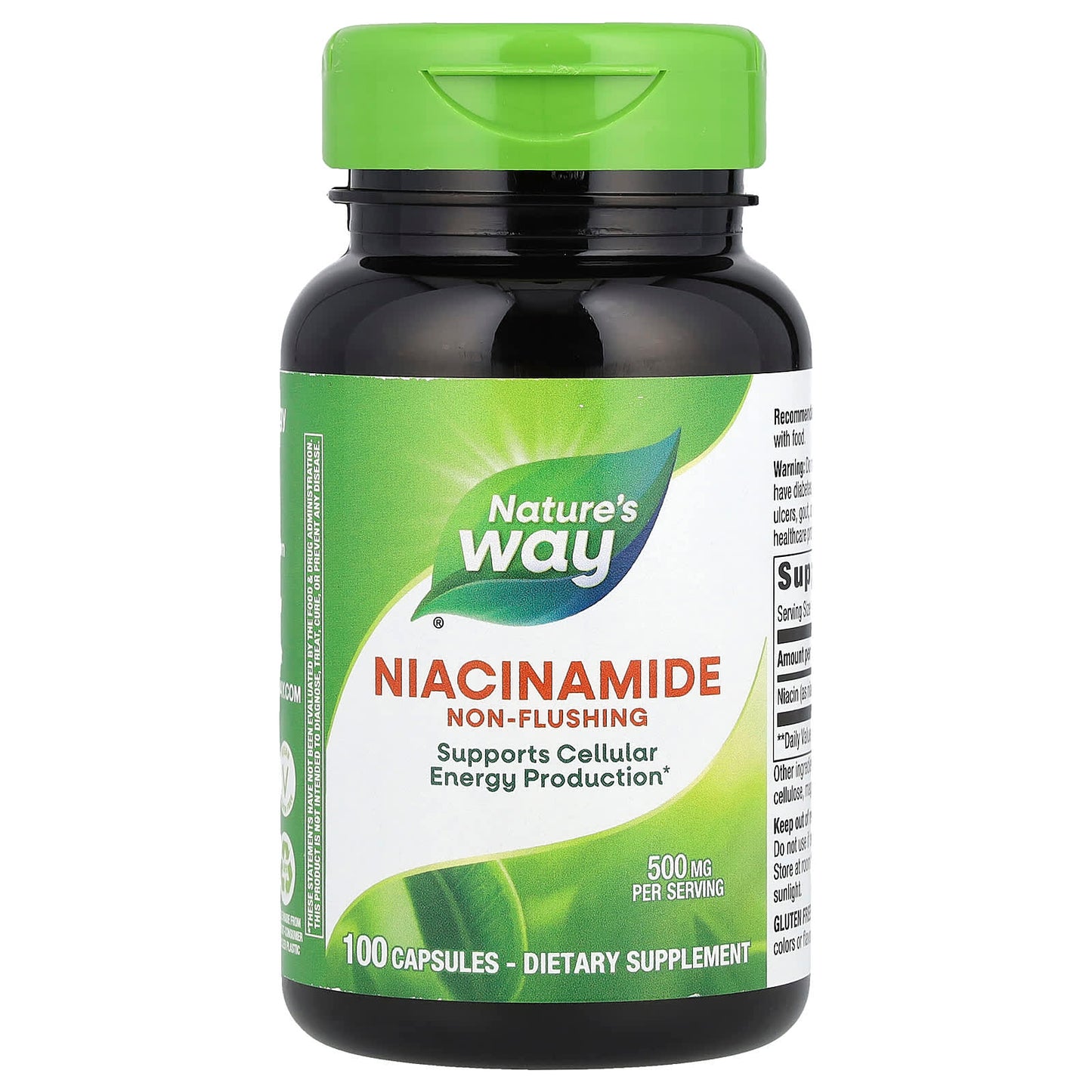 Nature's Way, Niacinamide, Non-Flushing, 500 mg, 100 Capsules - Image 1