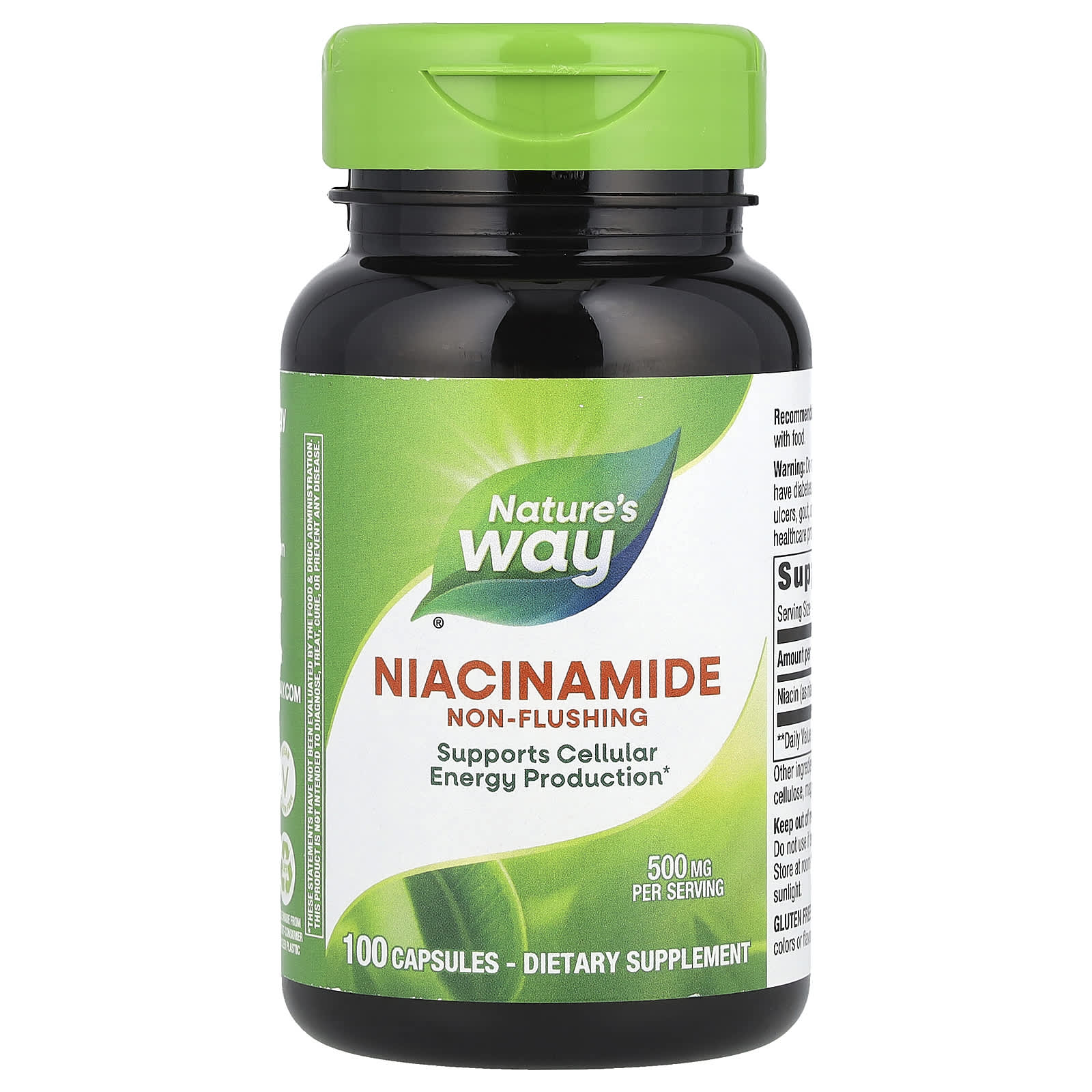 Nature's Way, Niacinamide, Non-Flushing, 500 mg, 100 Capsules - Image 1