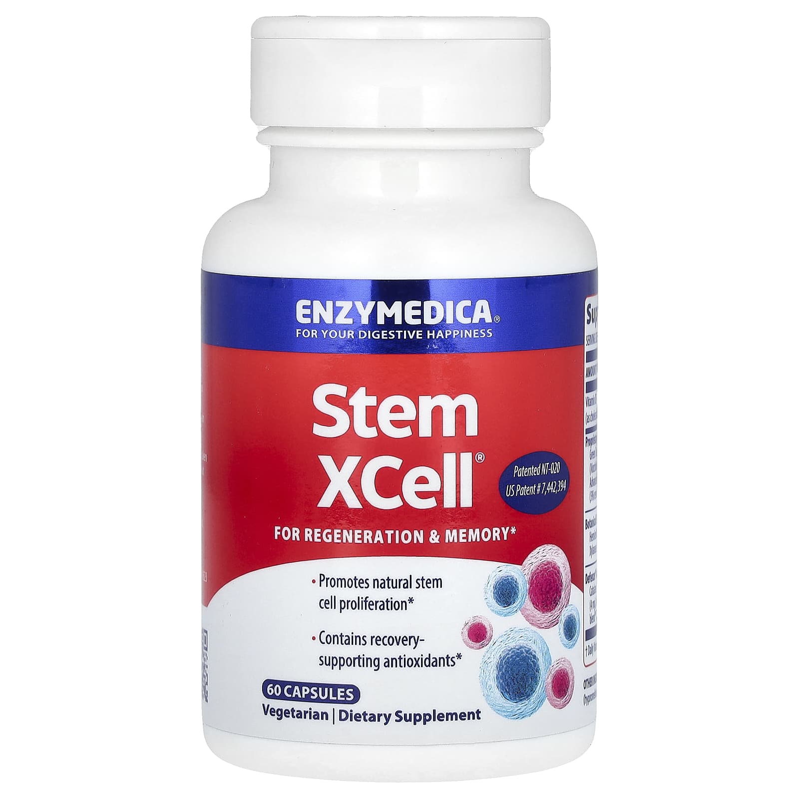 Enzymedica Stem XCell, 60 Capsules for Digestive Health & Stem Cell Renewal - Image 1