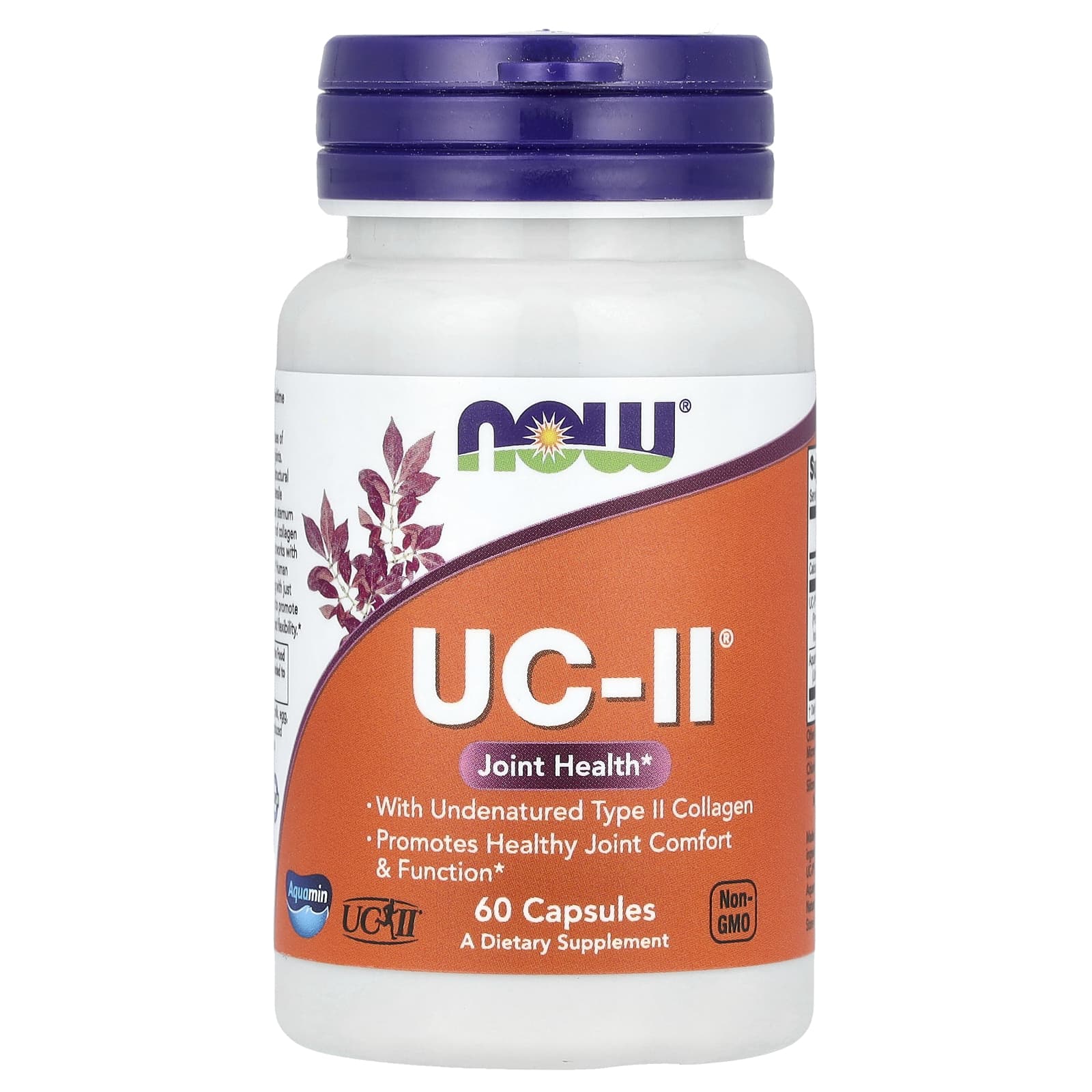 NOW Foods, UC-II® Joint Health with Undenatured Type II Collagen, 60 Capsules - Image 1
