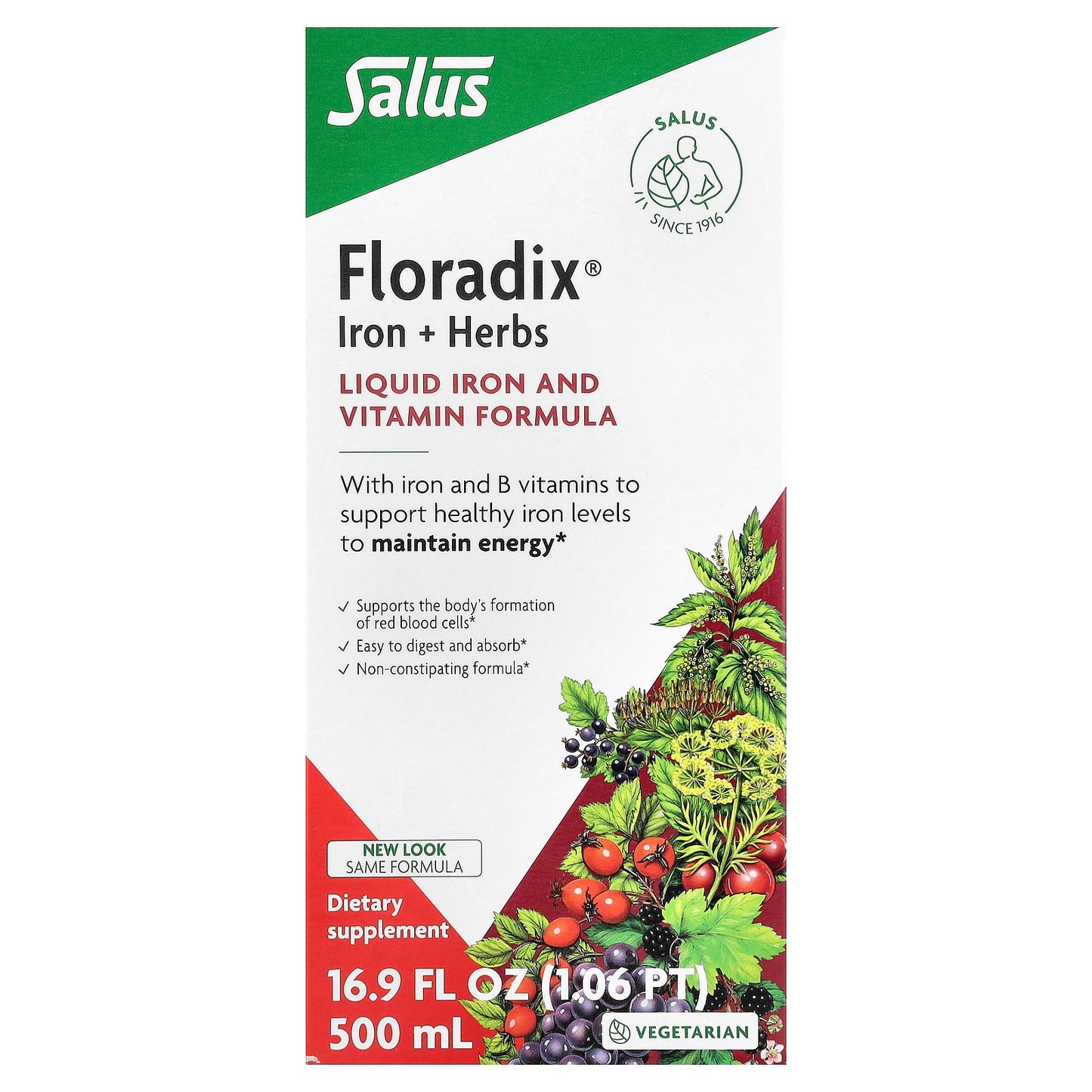 Floradix Iron + Herbs Liquid Supplement for Healthy Energy - Image 1