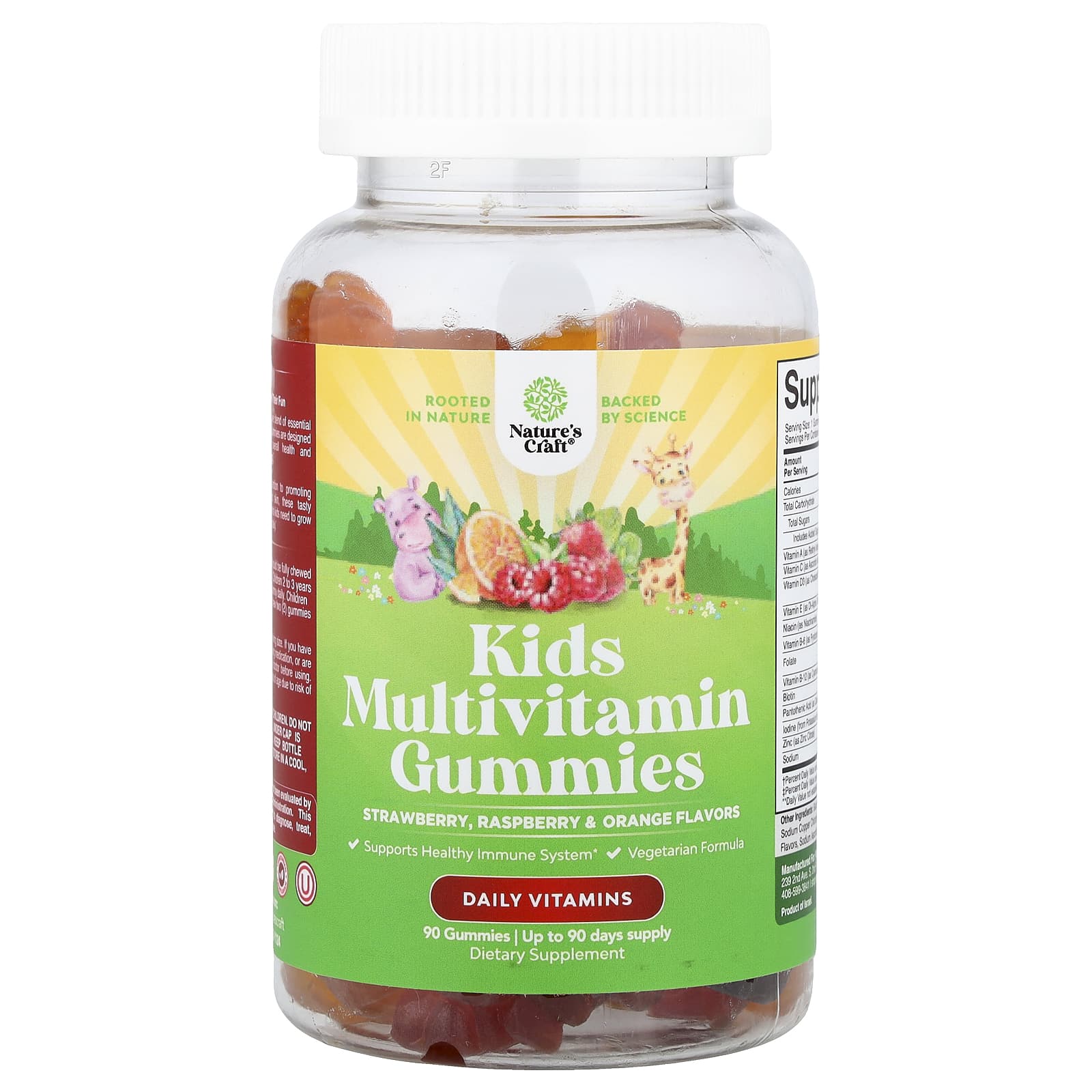 Nature's Craft, Kids Multivitamin Gummies, Strawberry, Raspberry & Orange, 90 Gummies - Image 1