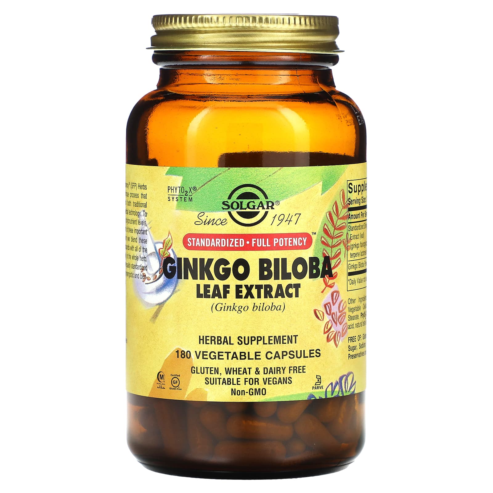 Solgar, Ginkgo Biloba Leaf Extract, 180 Vegetable Capsules - Image 1